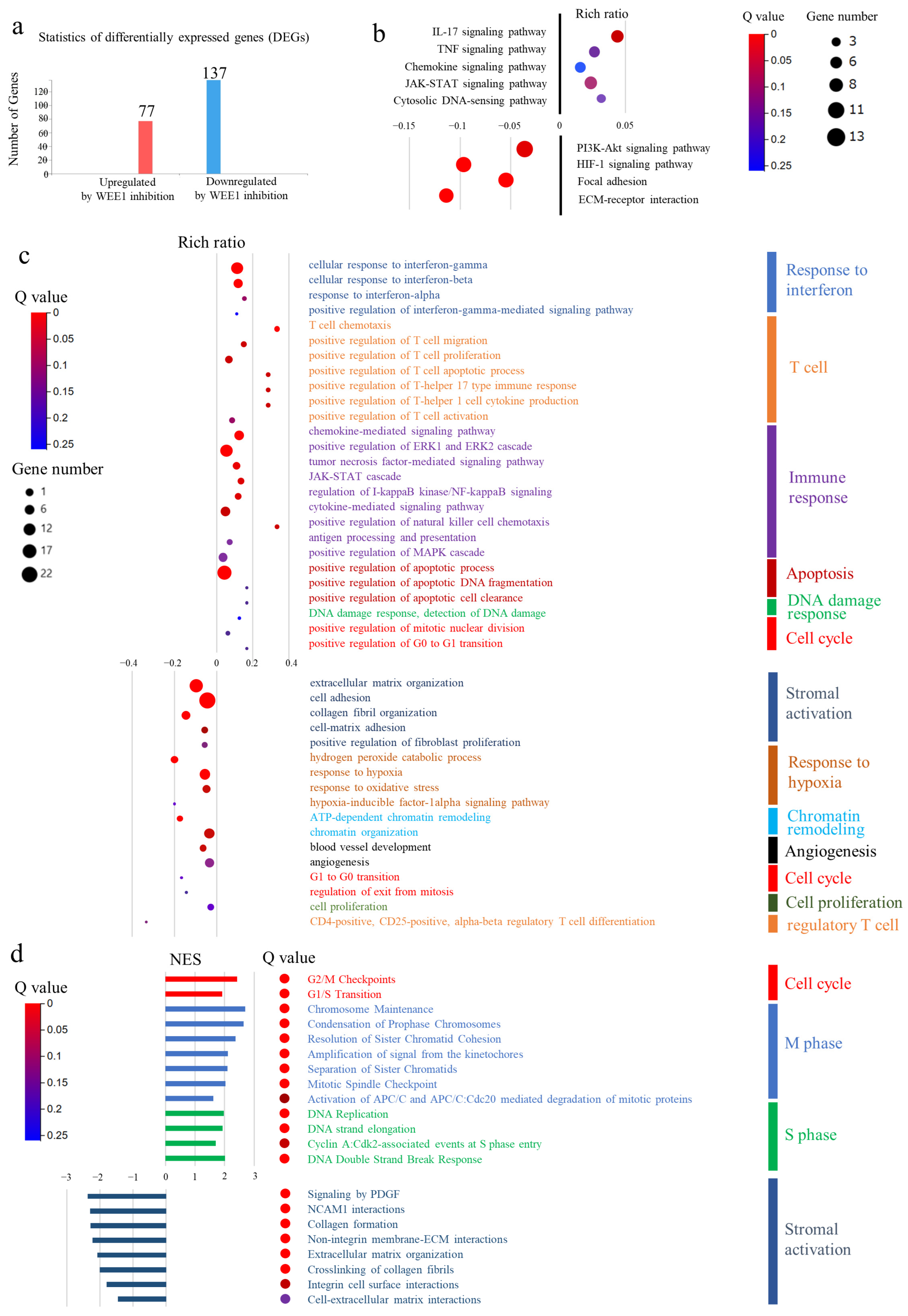 Cancers 16 03136 g006