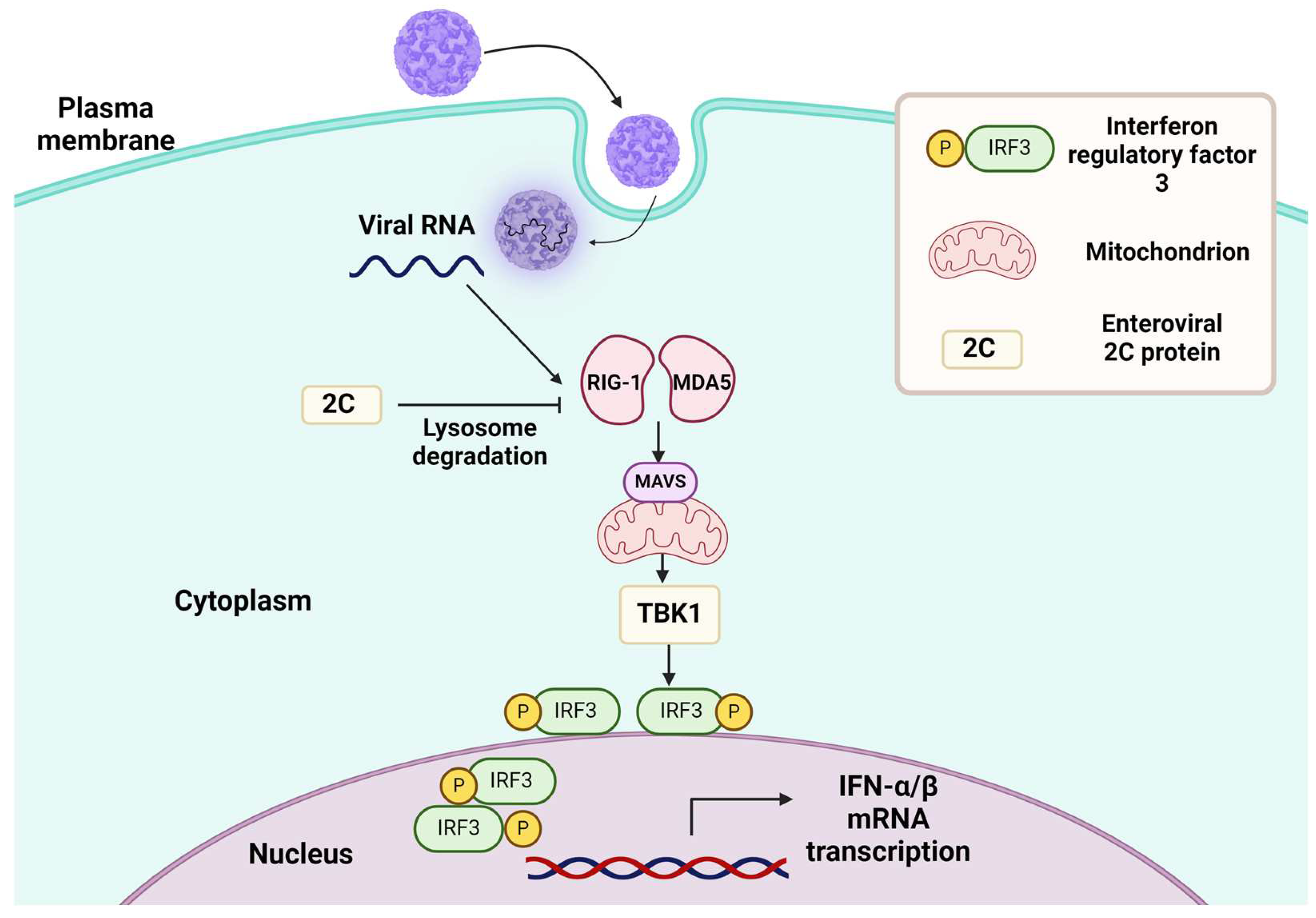 Cancers 16 03139 g002