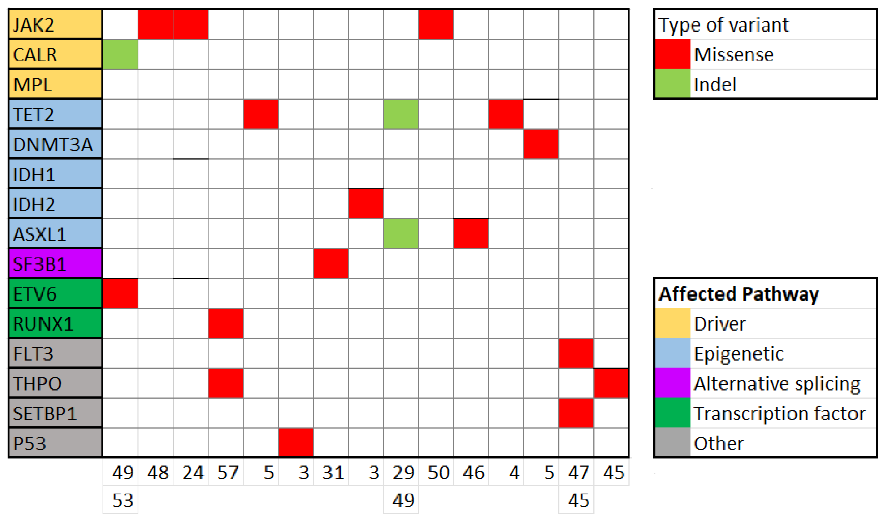 Cancers 16 03149 g002