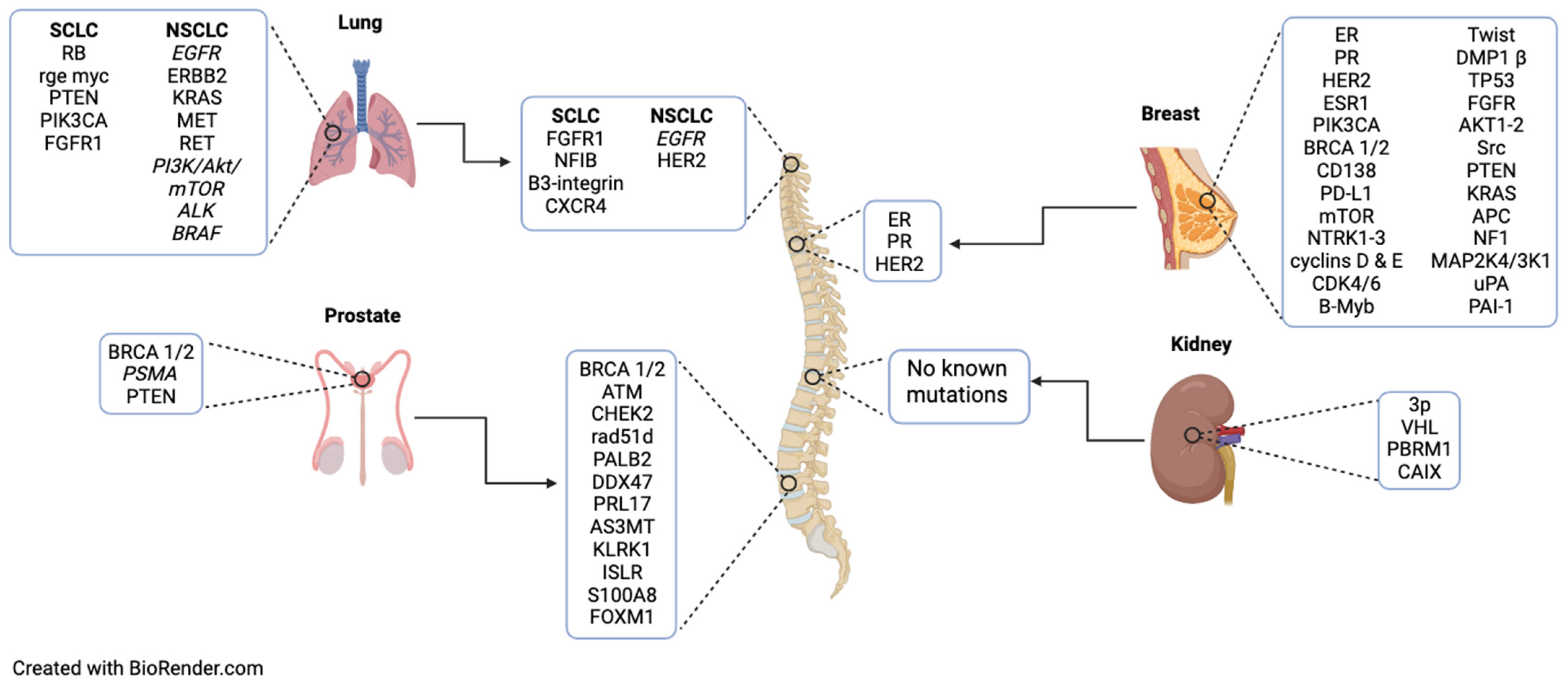 Cancers 16 03152 g001 Cancers 16 03152 g001