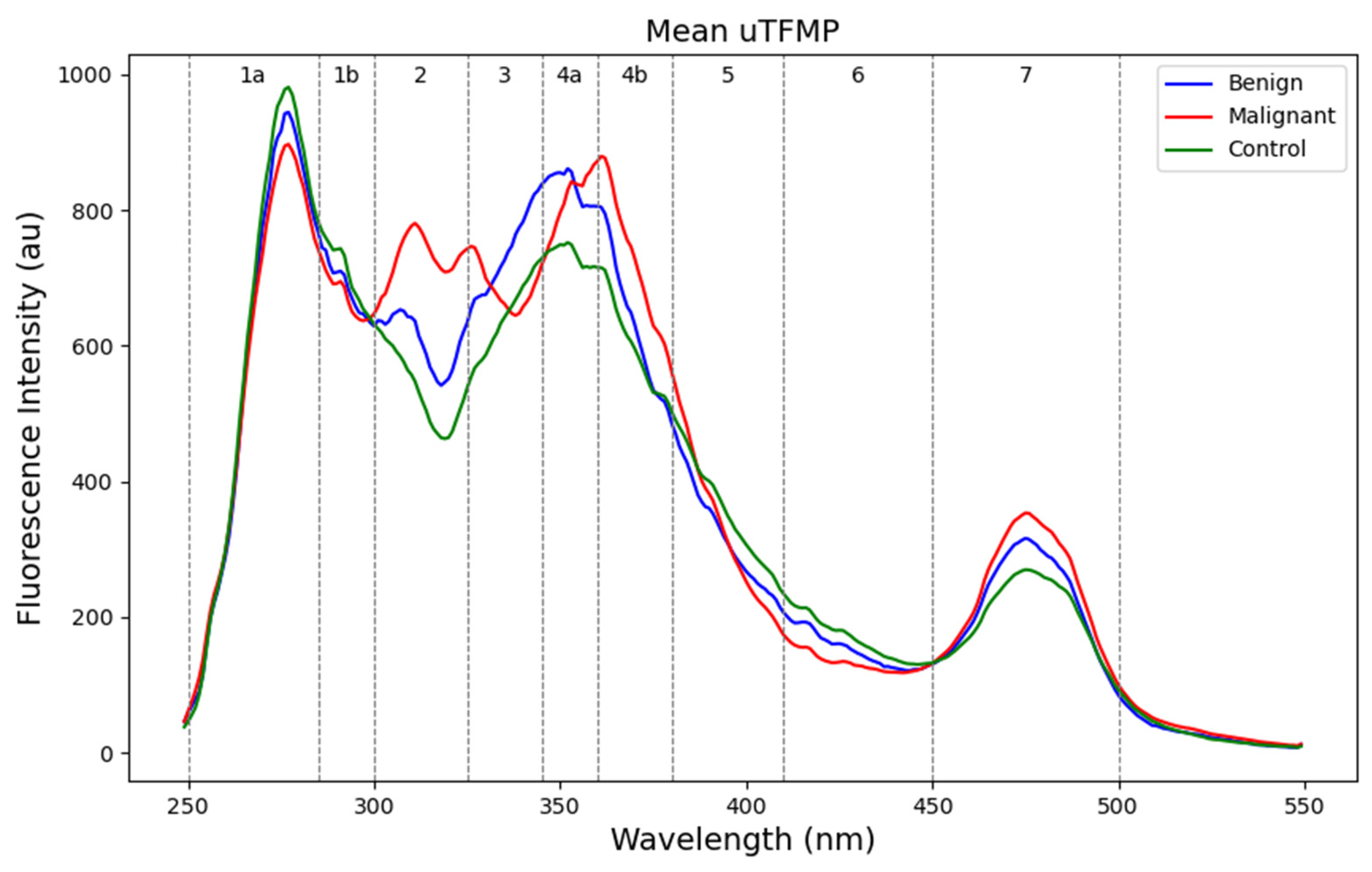 Cancers 16 03155 g002