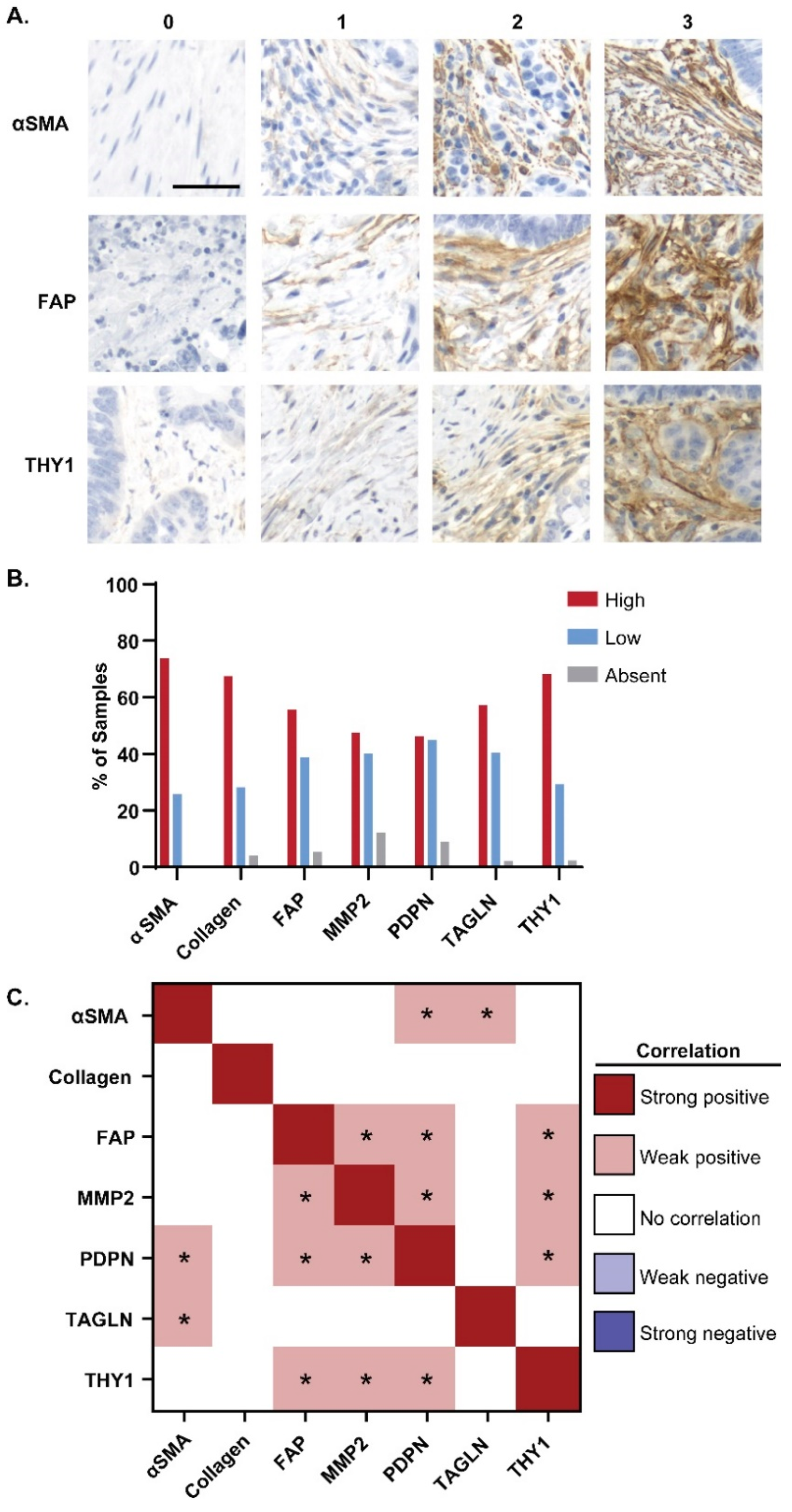 Cancers 16 03158 g001