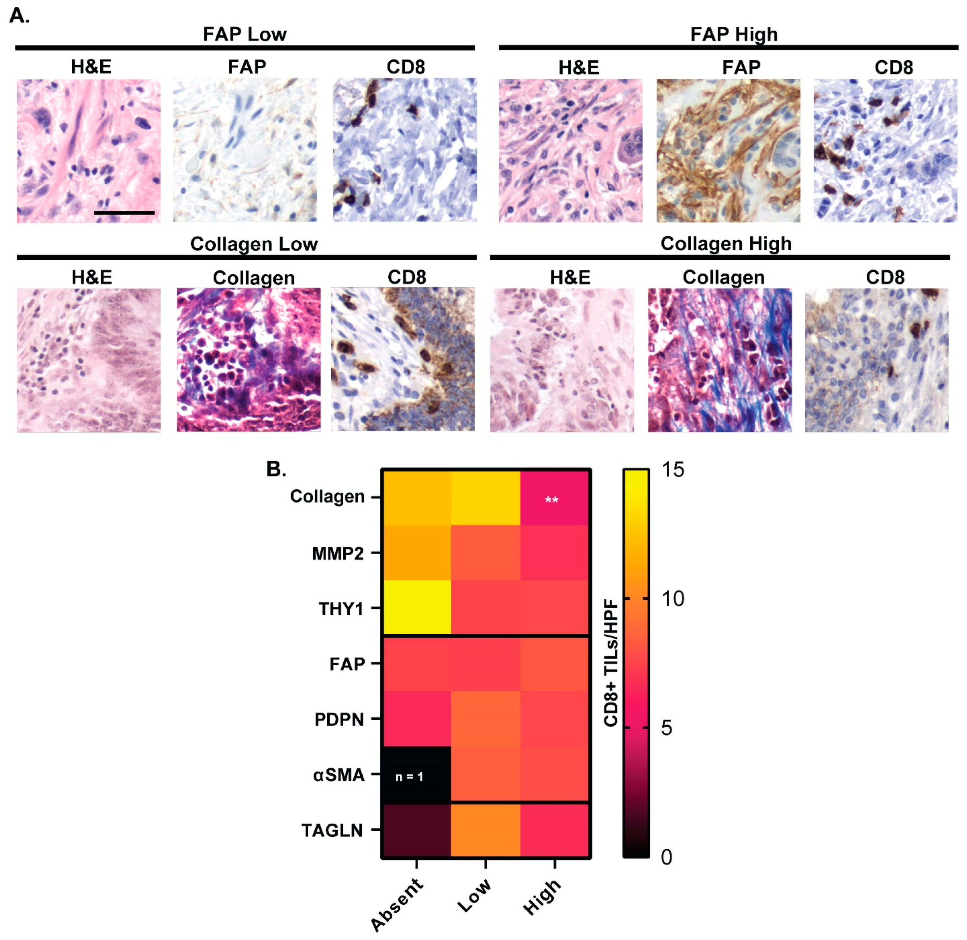 Cancers 16 03158 g005