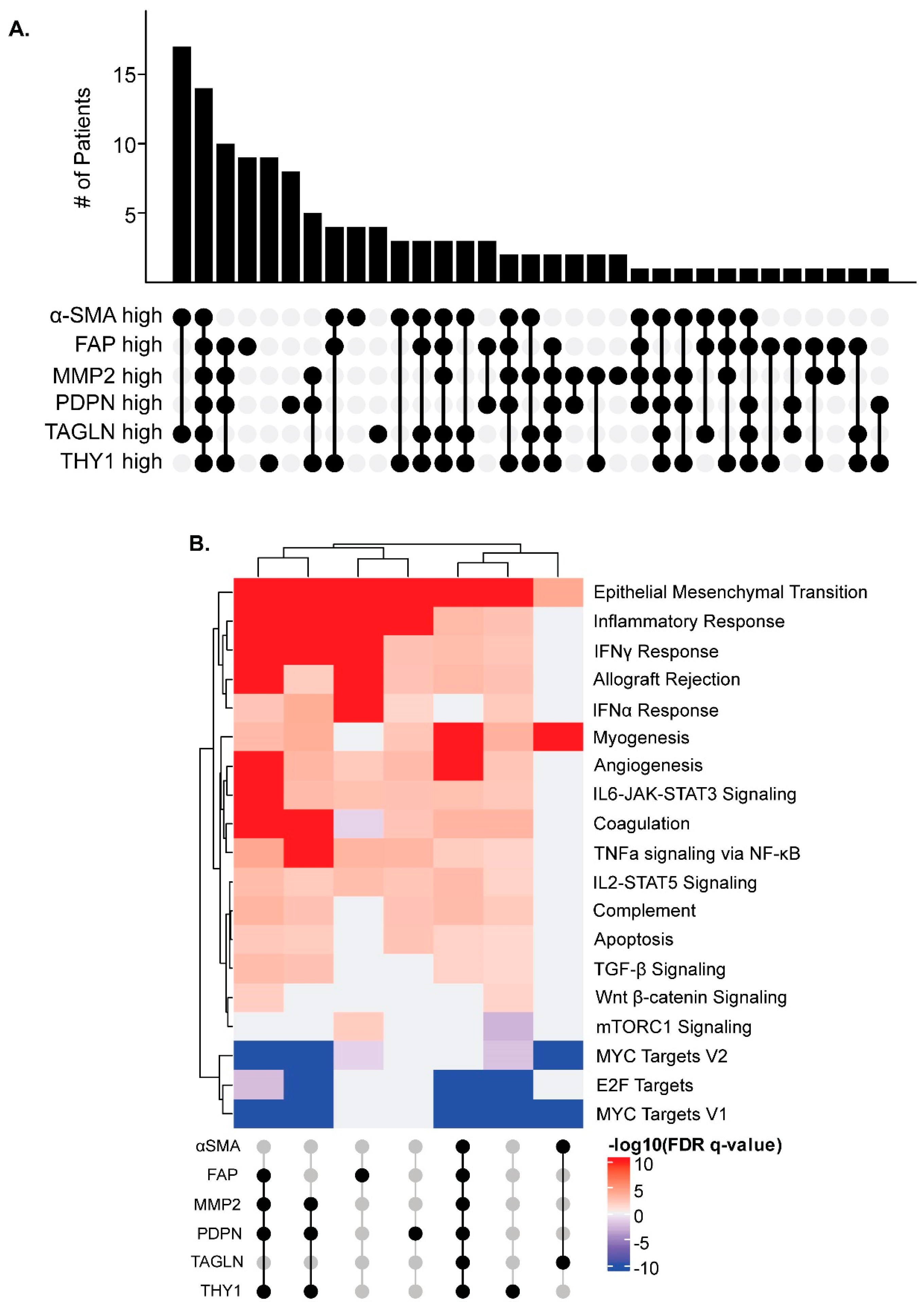 Cancers 16 03158 g006
