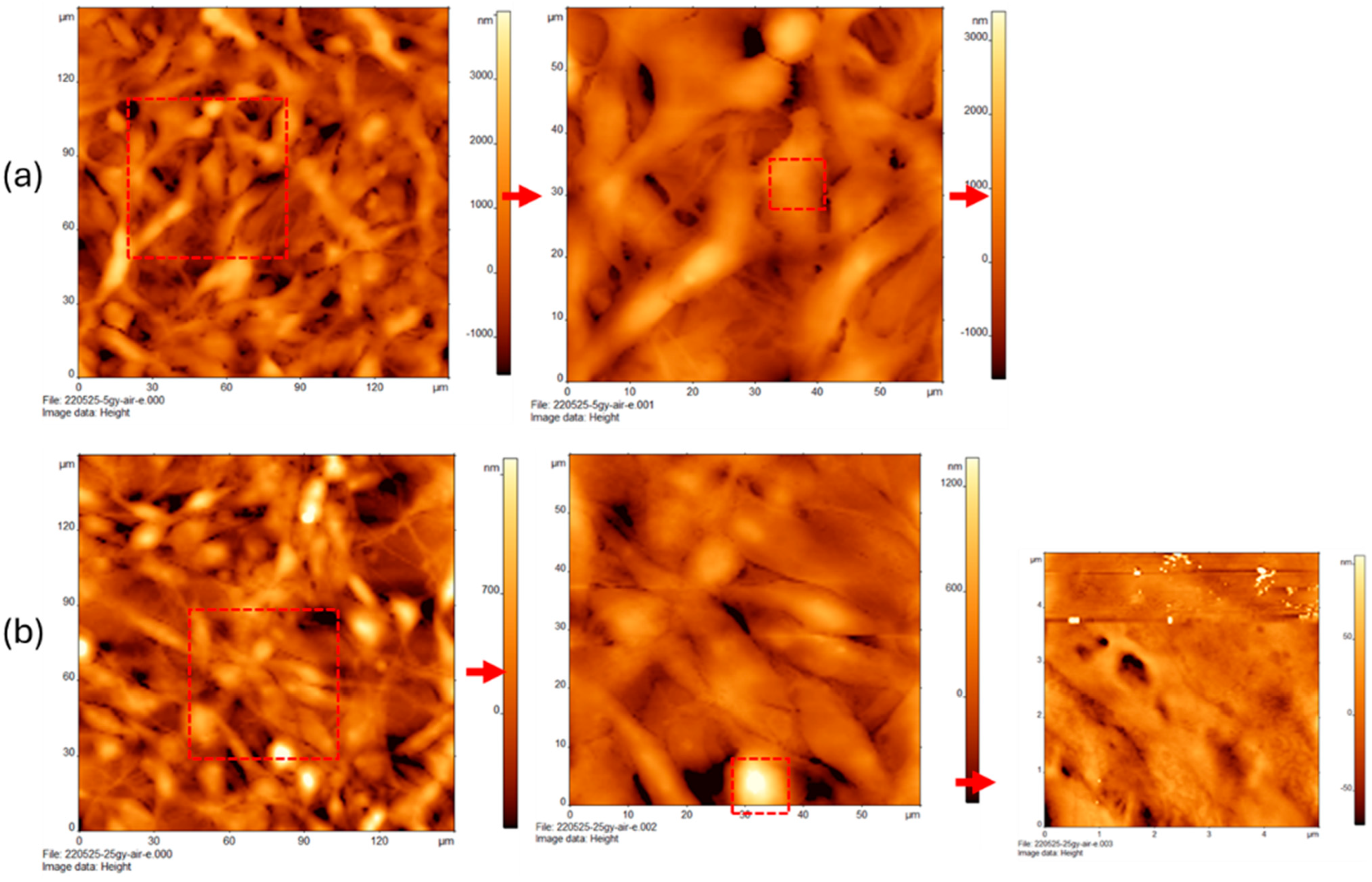 Cancers 16 03166 g005