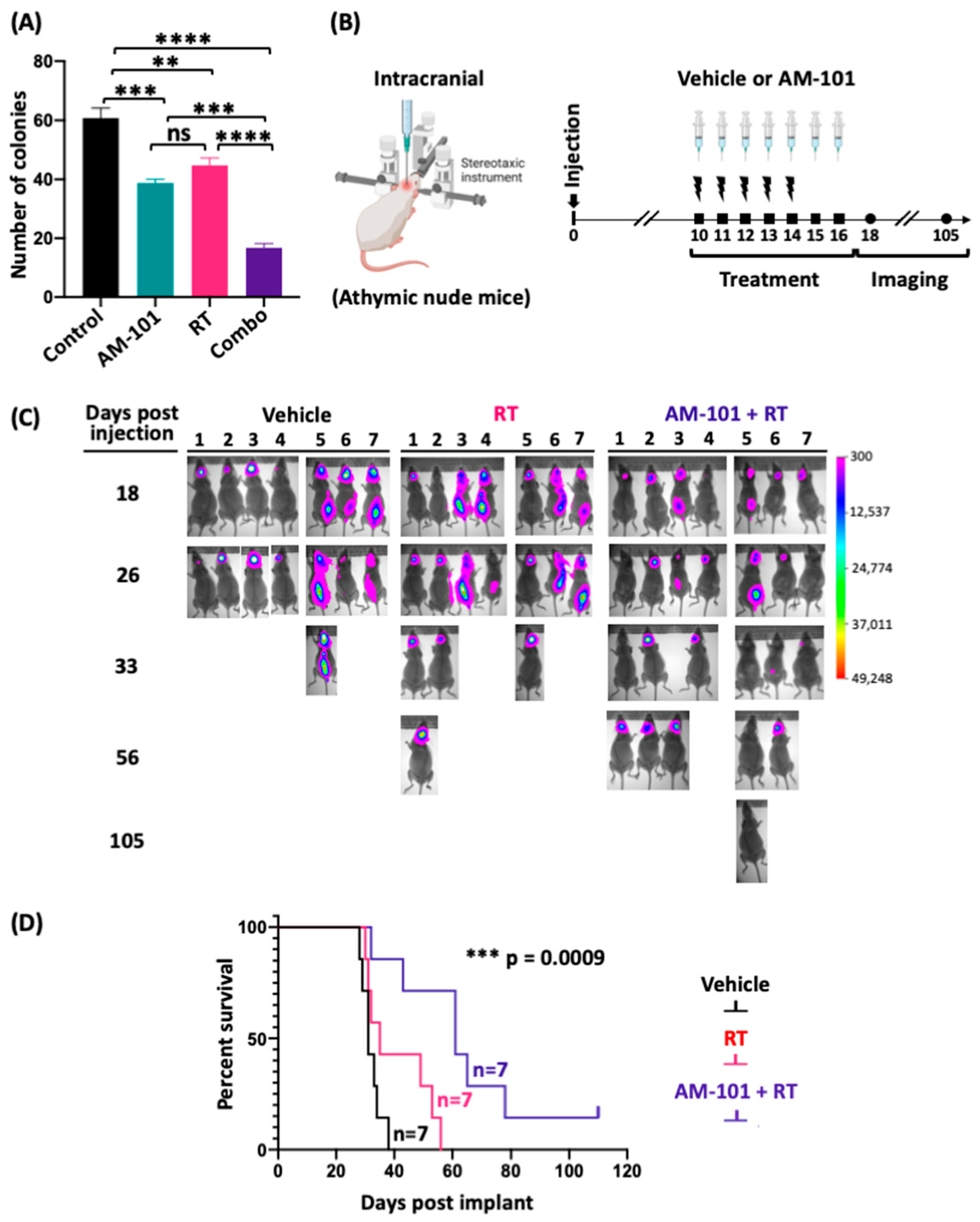 Cancers 16 03167 g003