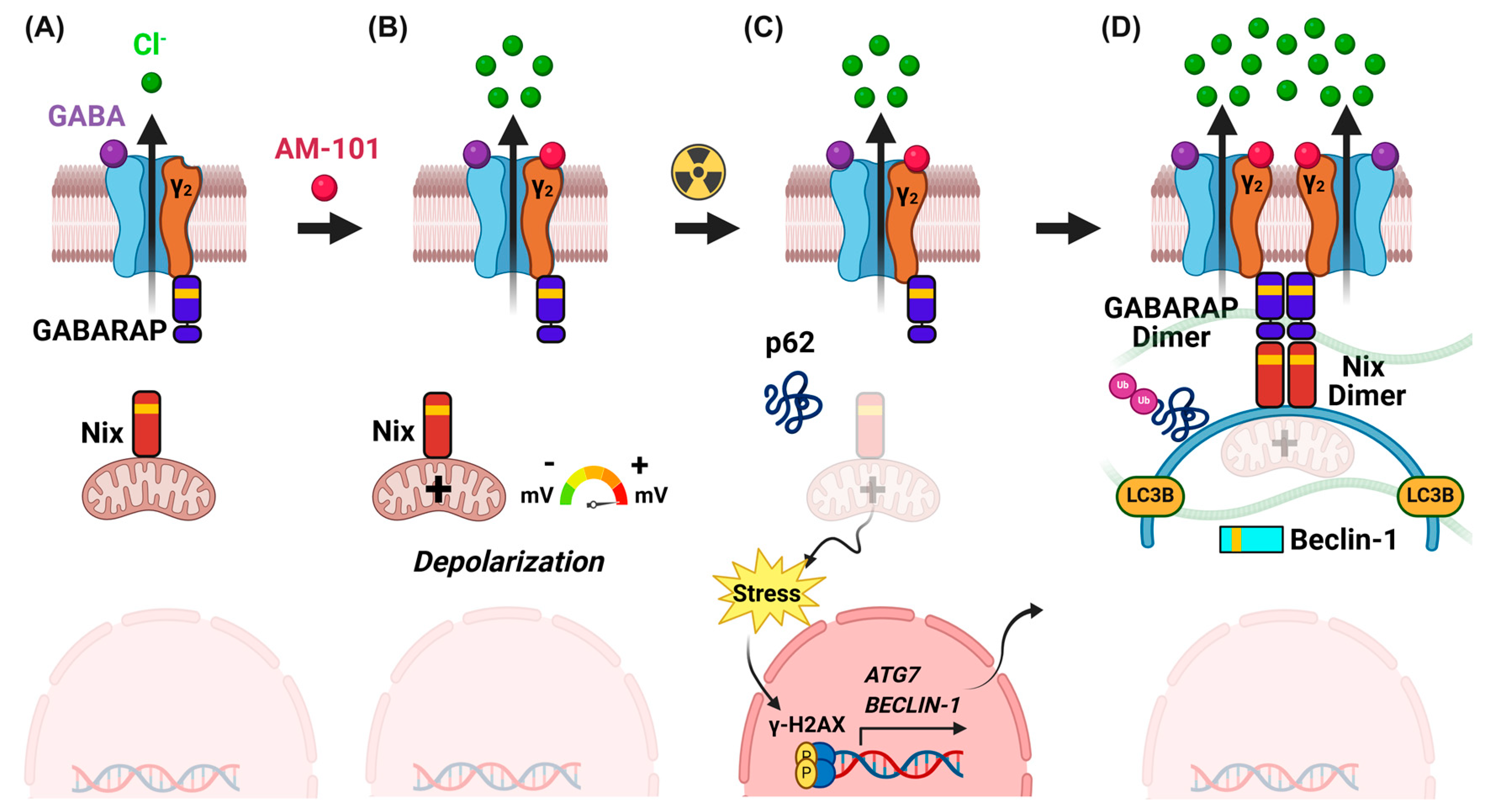Cancers 16 03167 g007