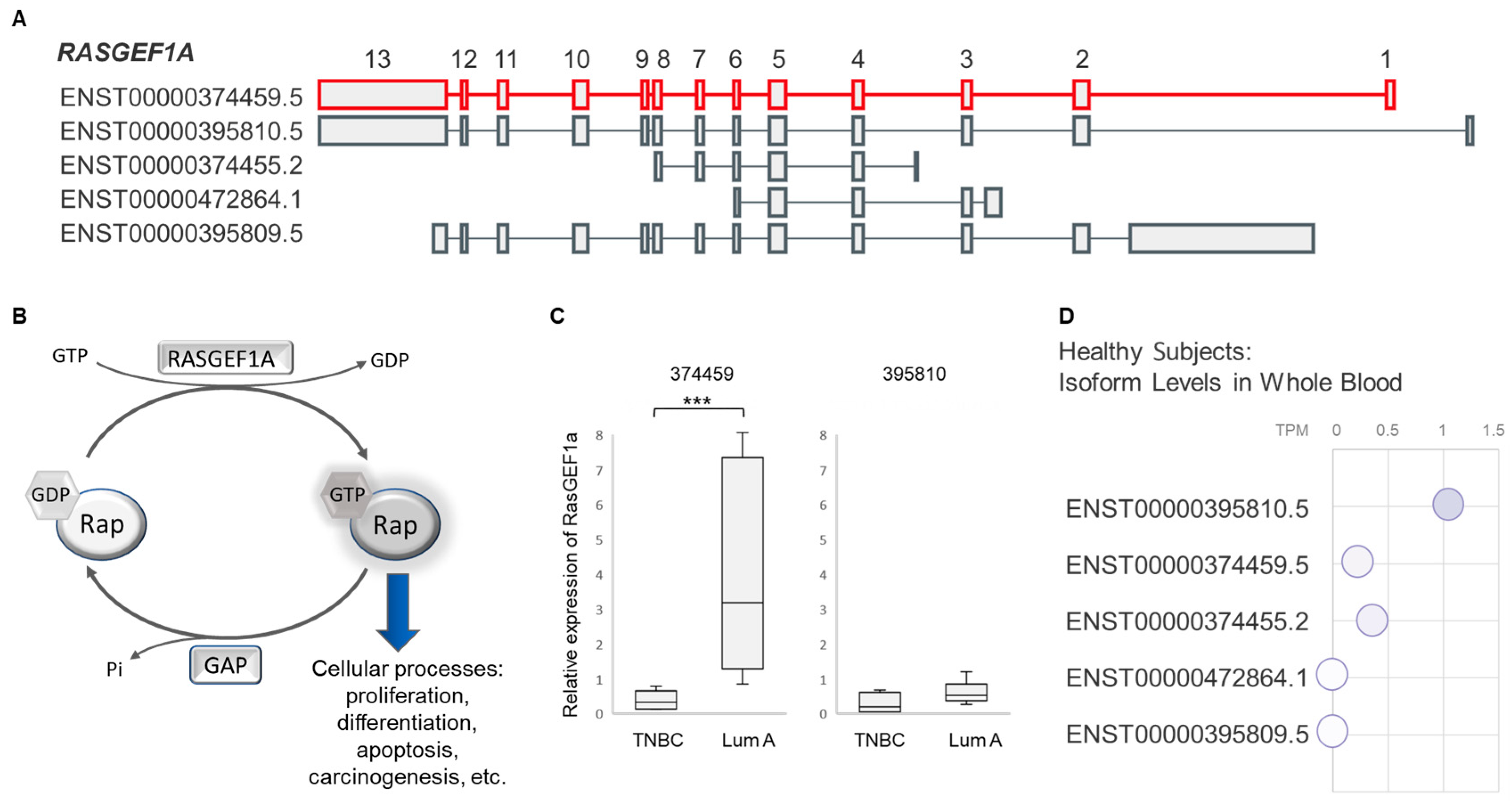 Cancers 16 03171 g002 Cancers 16 03171 g002