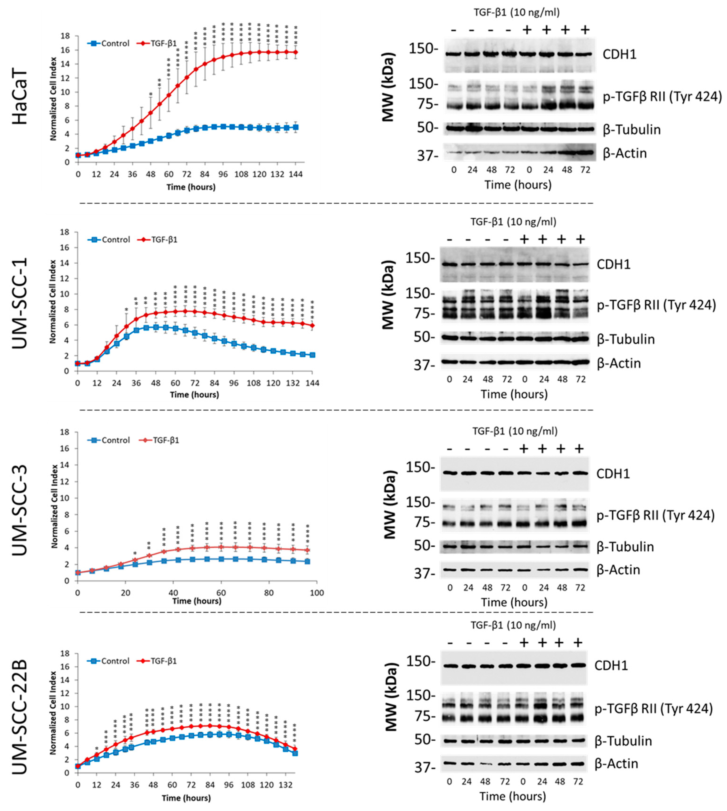Cancers 16 03172 g002