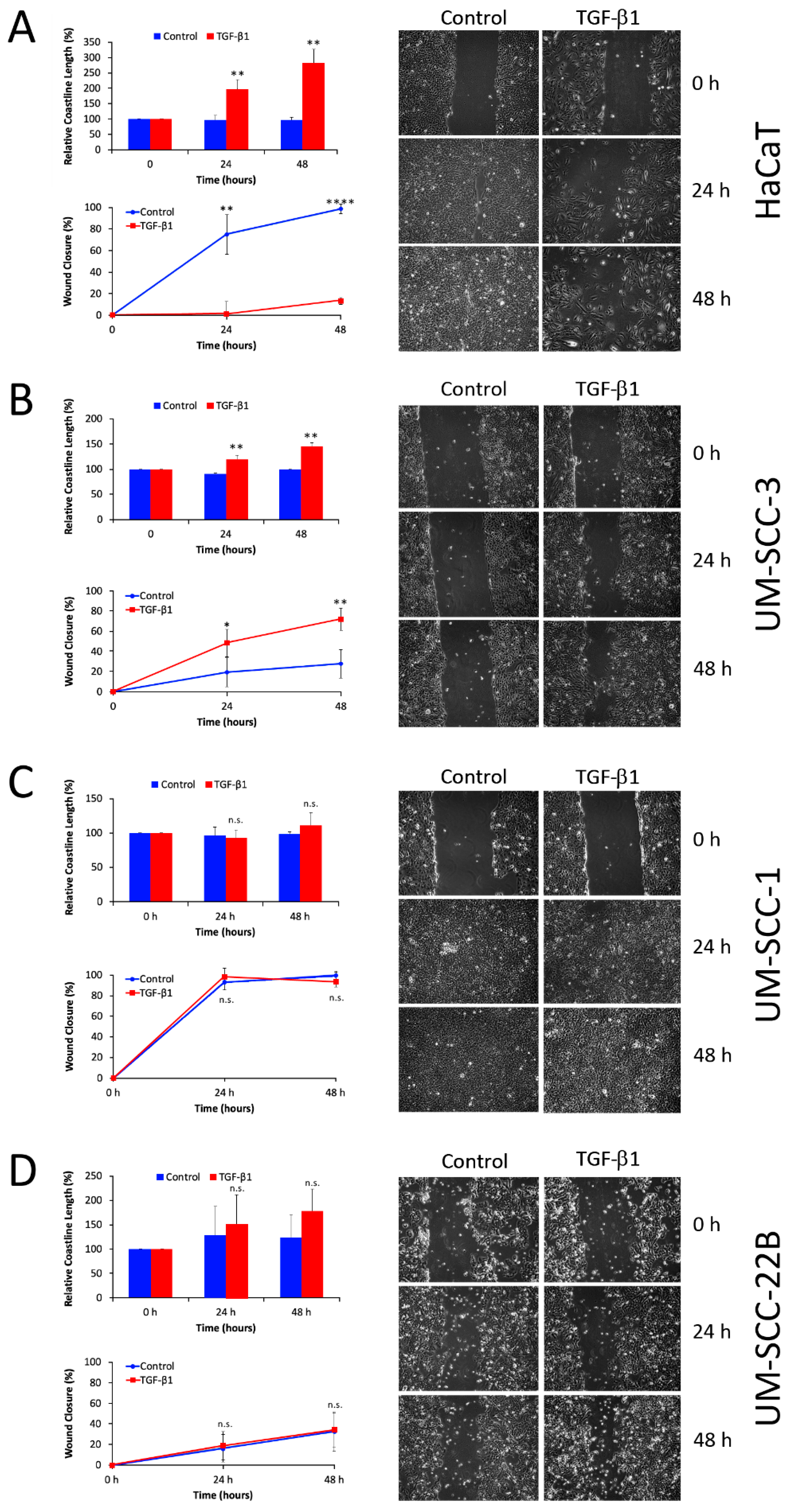 Cancers 16 03172 g003