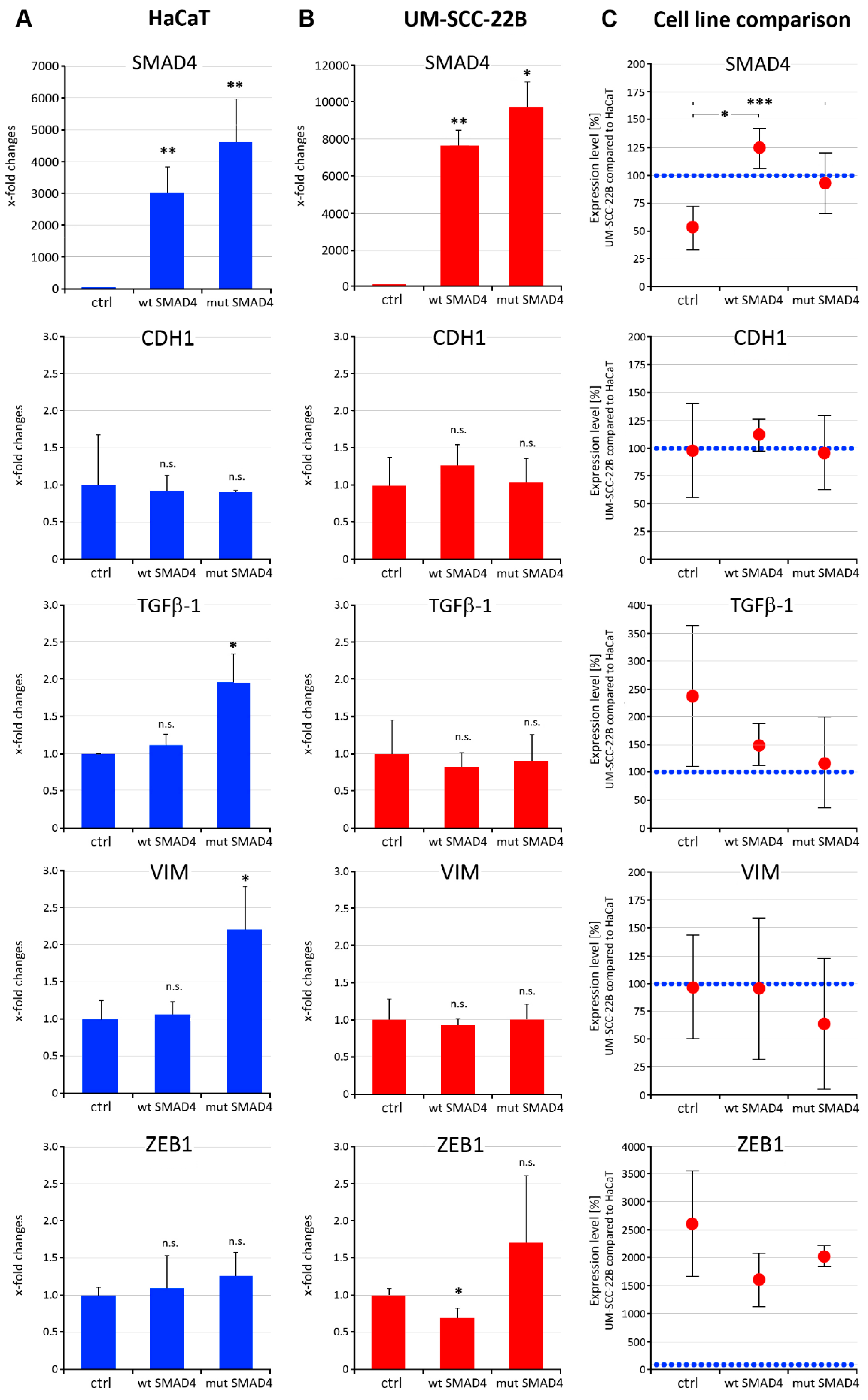 Cancers 16 03172 g005a