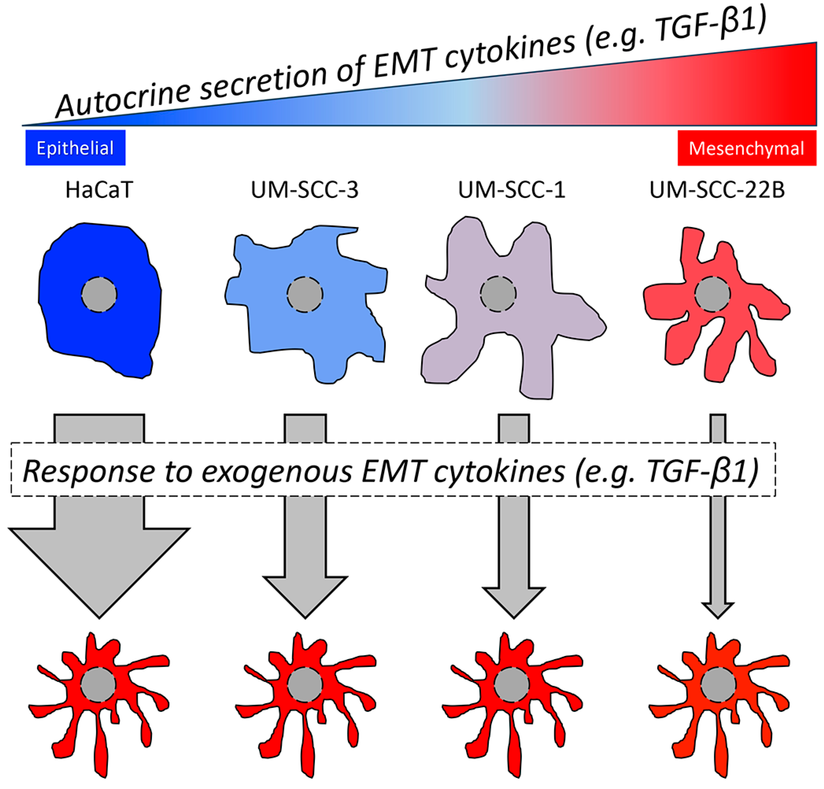 Cancers 16 03172 g006