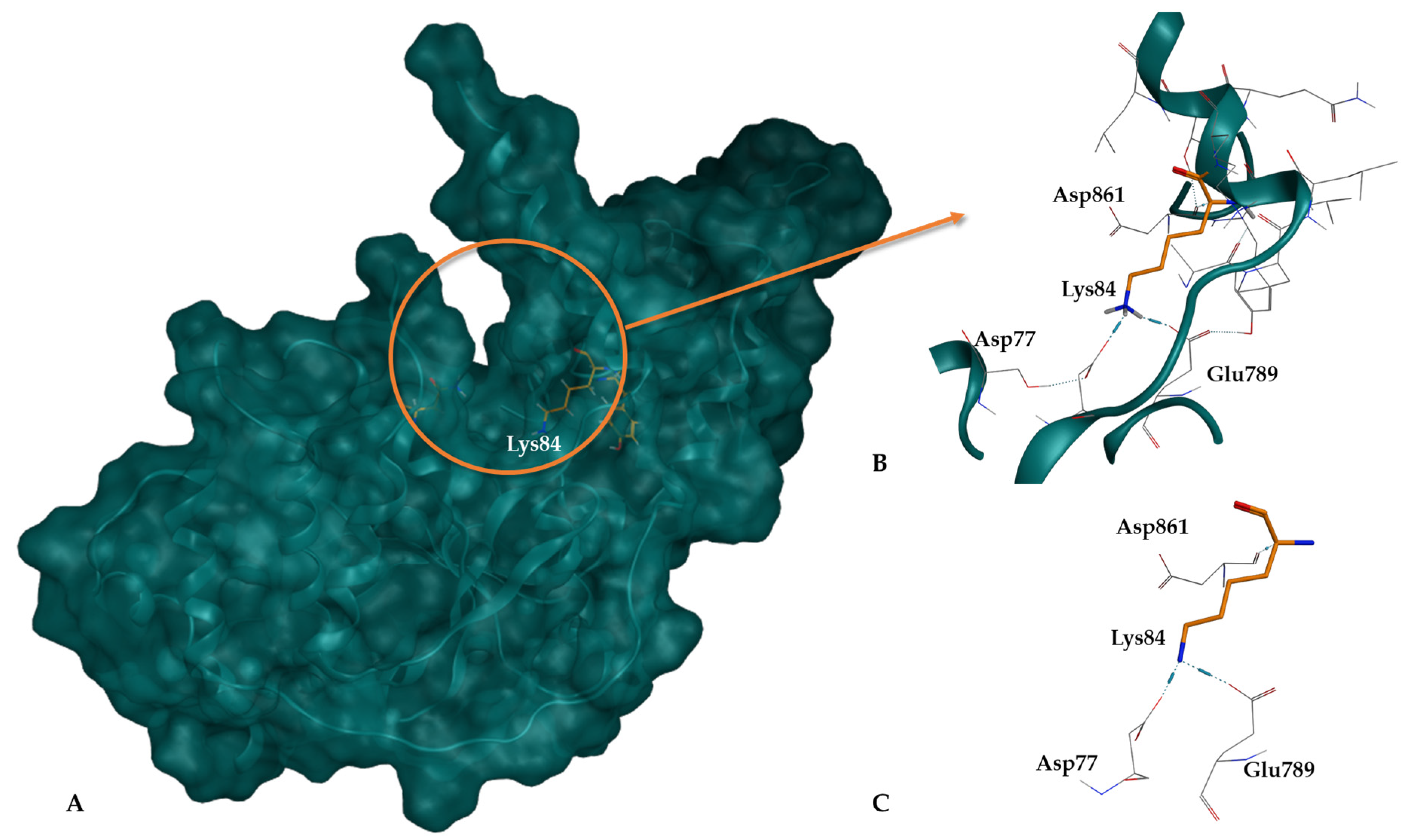 Cancers 16 03174 g003