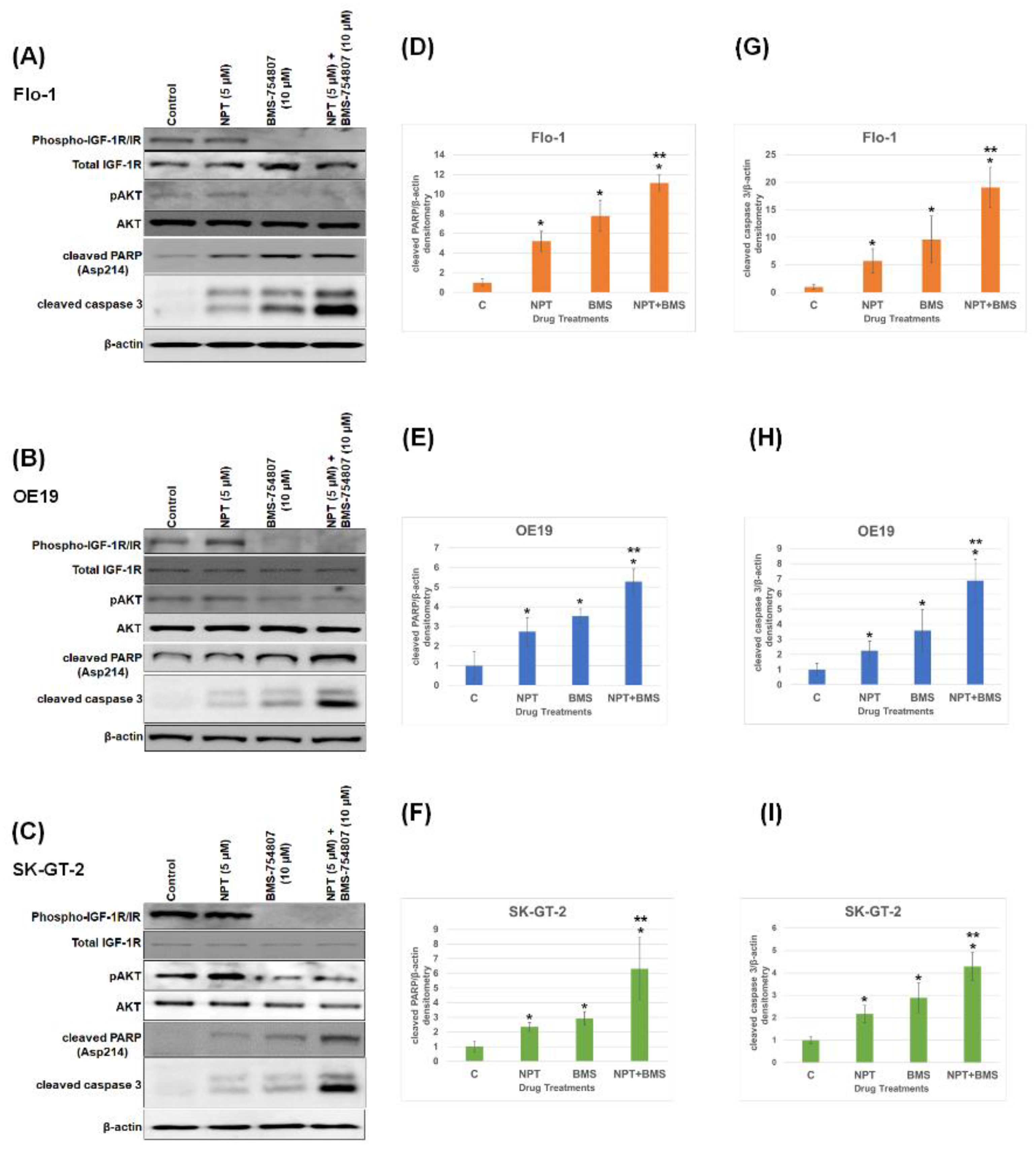 Cancers 16 03175 g003