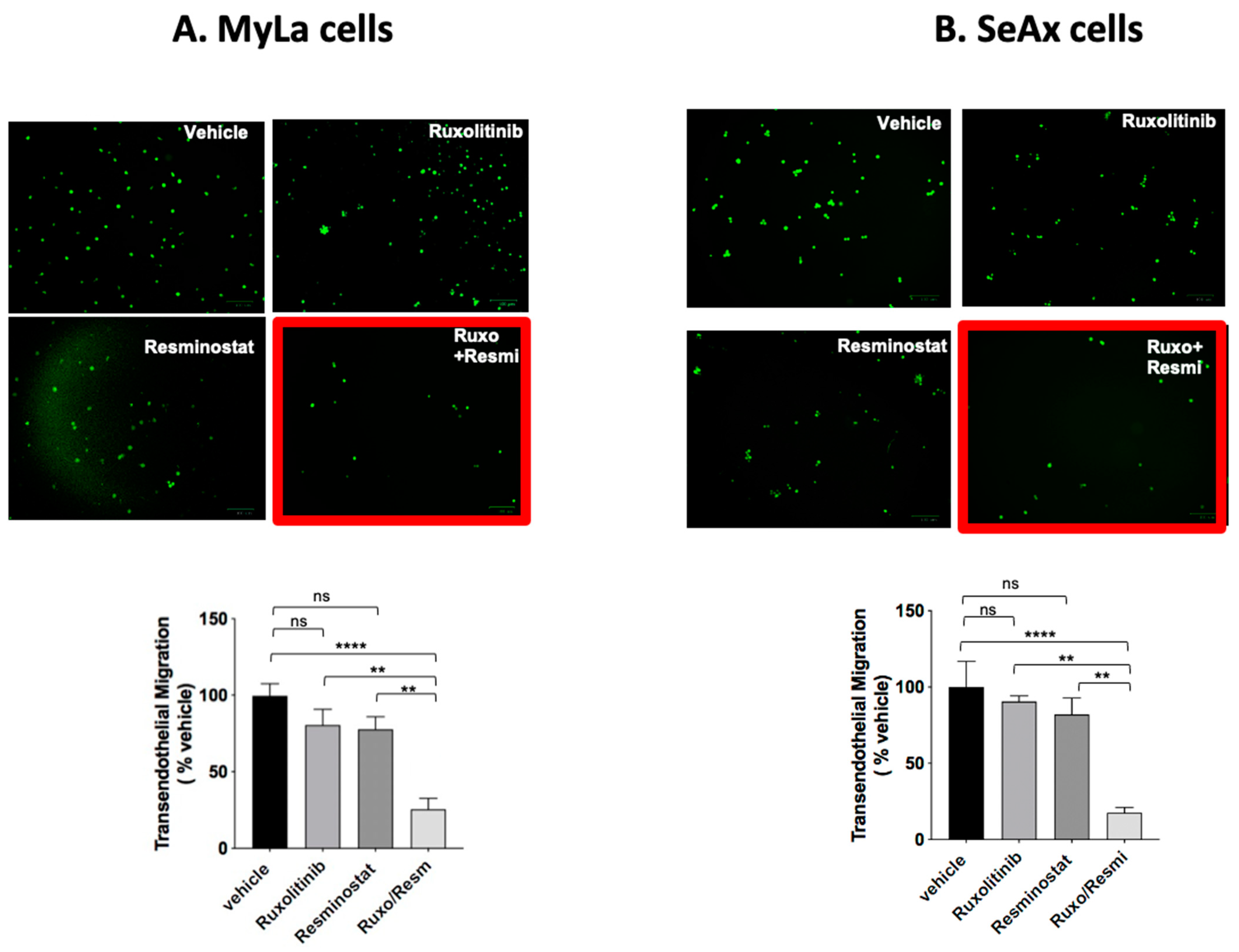 Cancers 16 03176 g001
