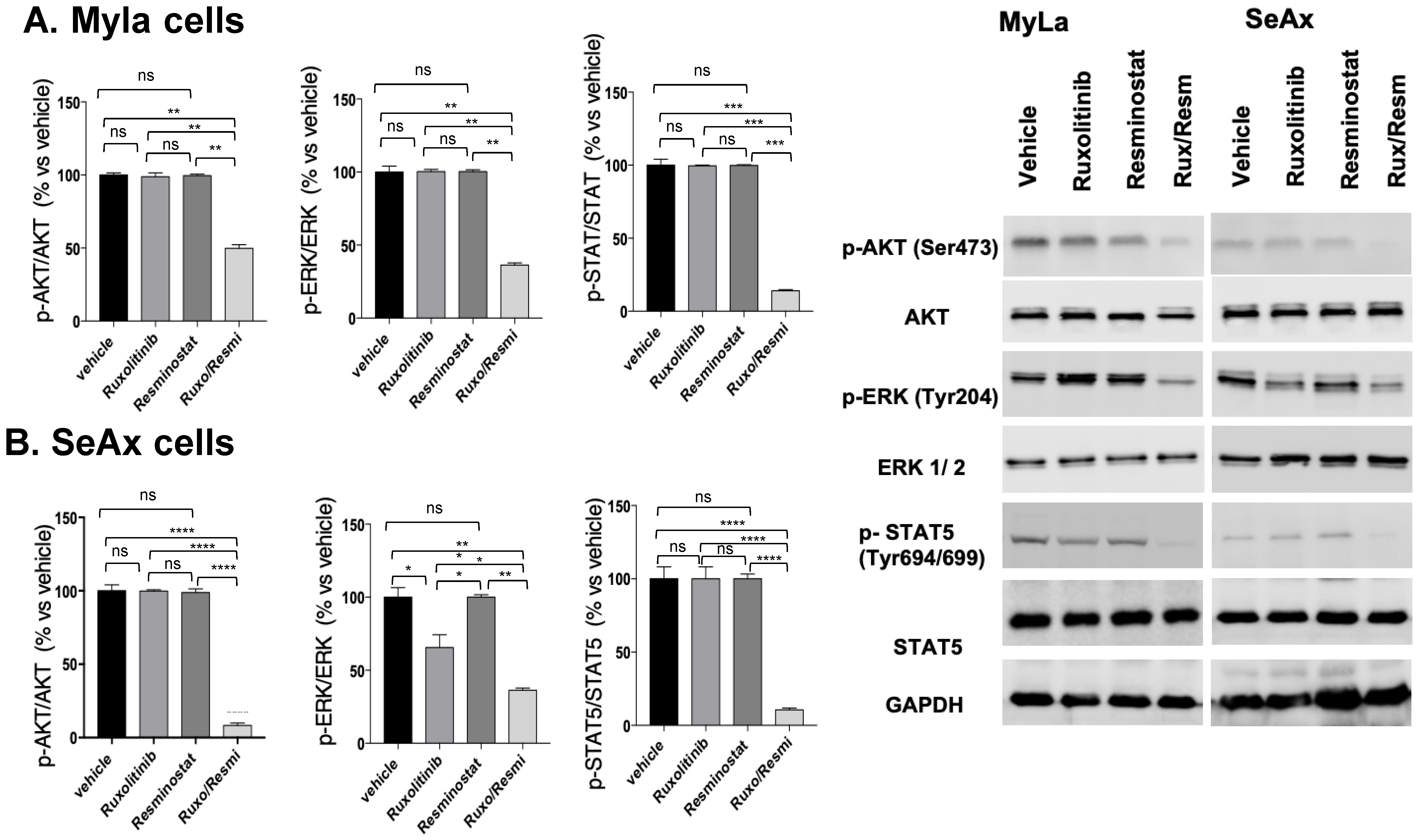 Cancers 16 03176 g007