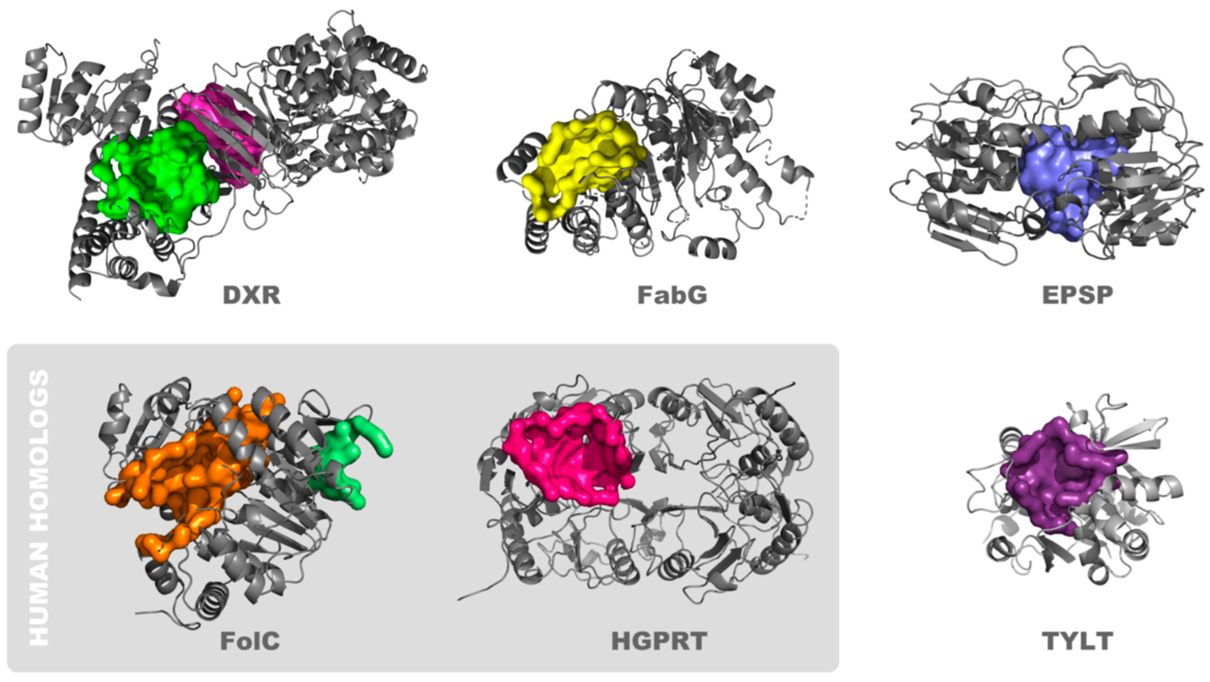 Cancers 16 03177 g003