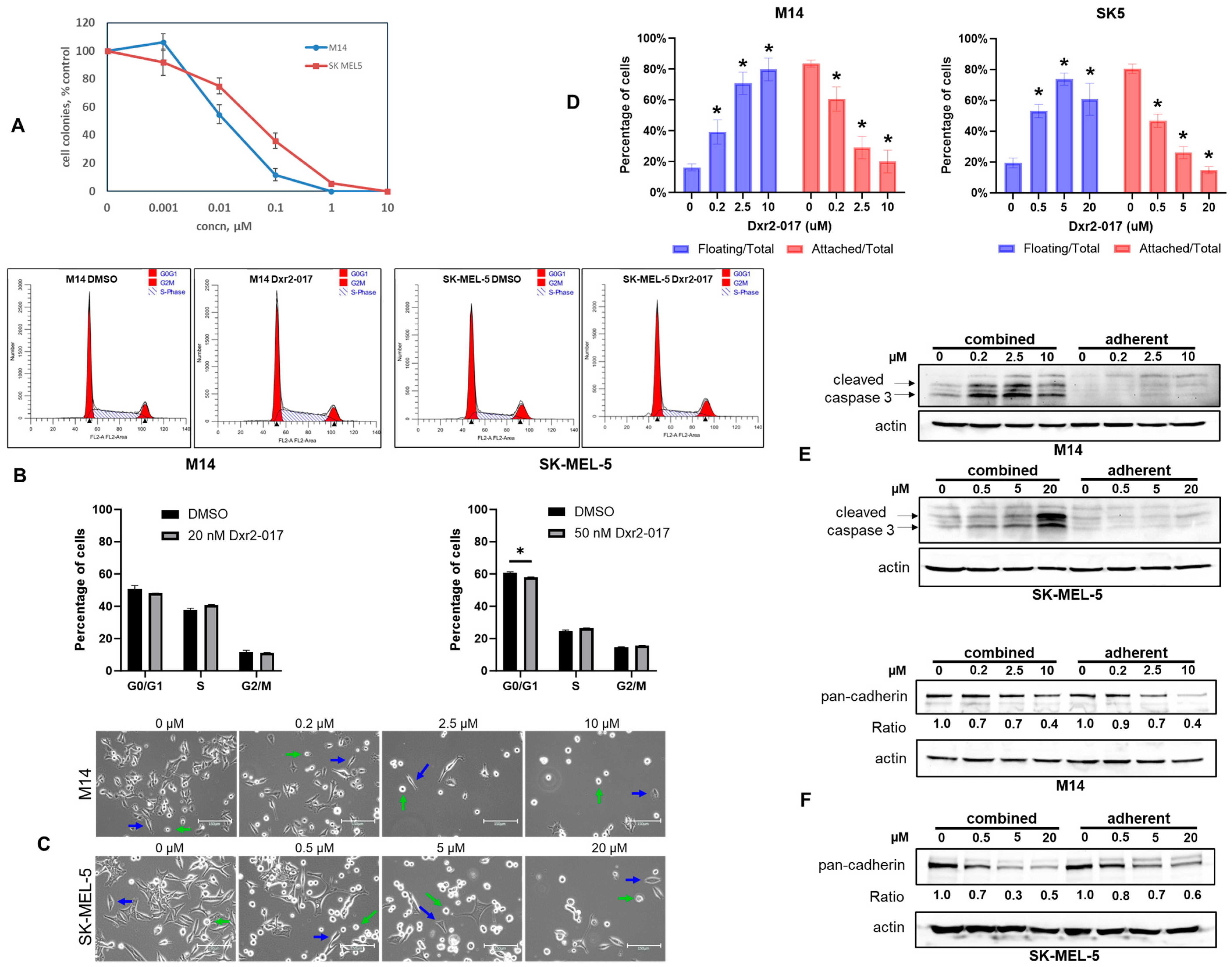 Cancers 16 03177 g008