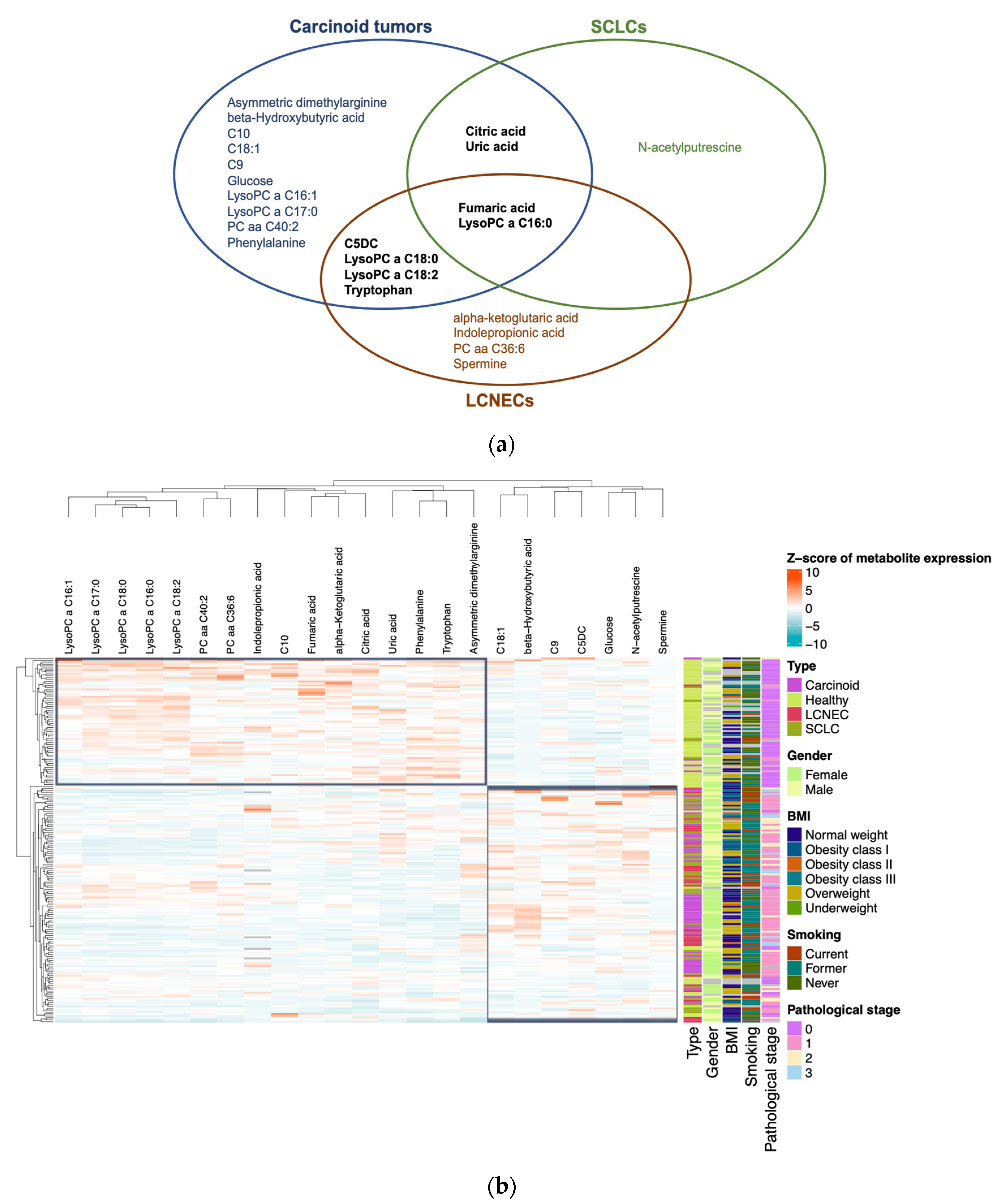 Cancers 16 03179 g002