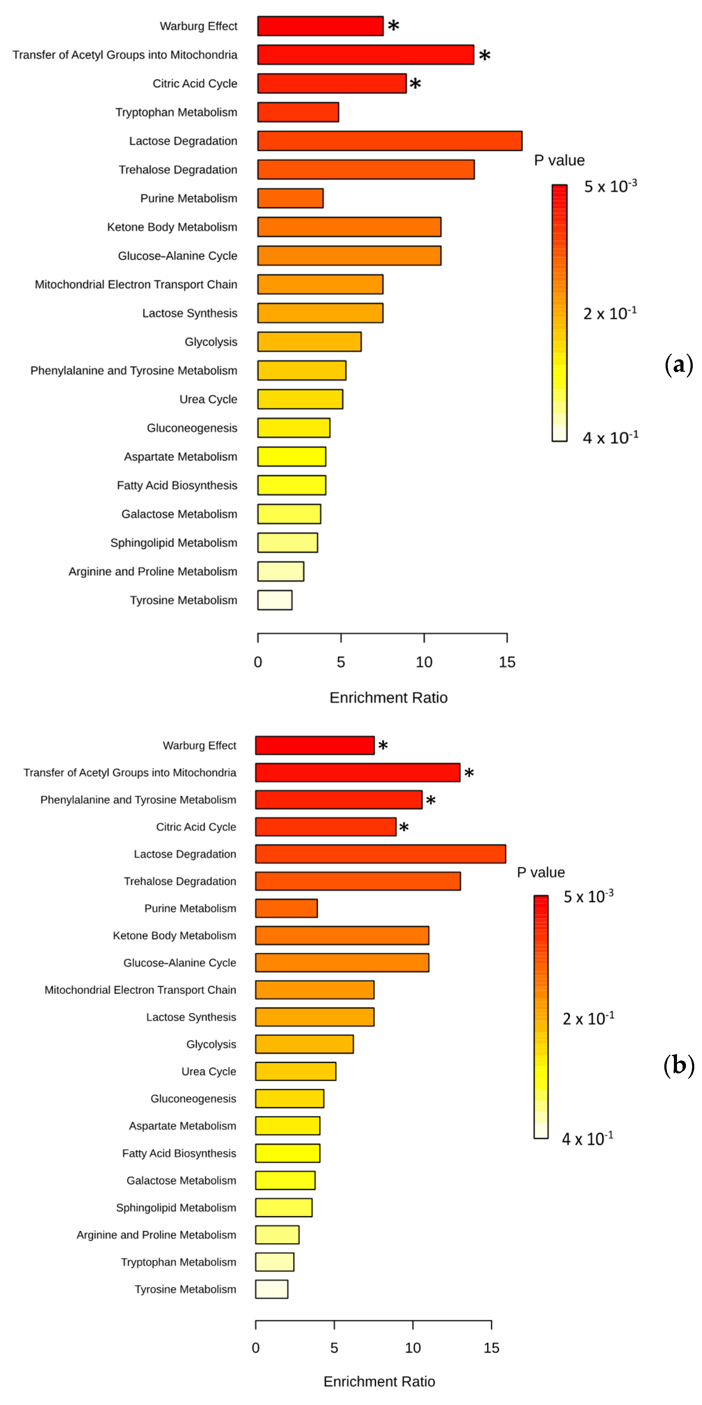 Cancers 16 03179 g003a