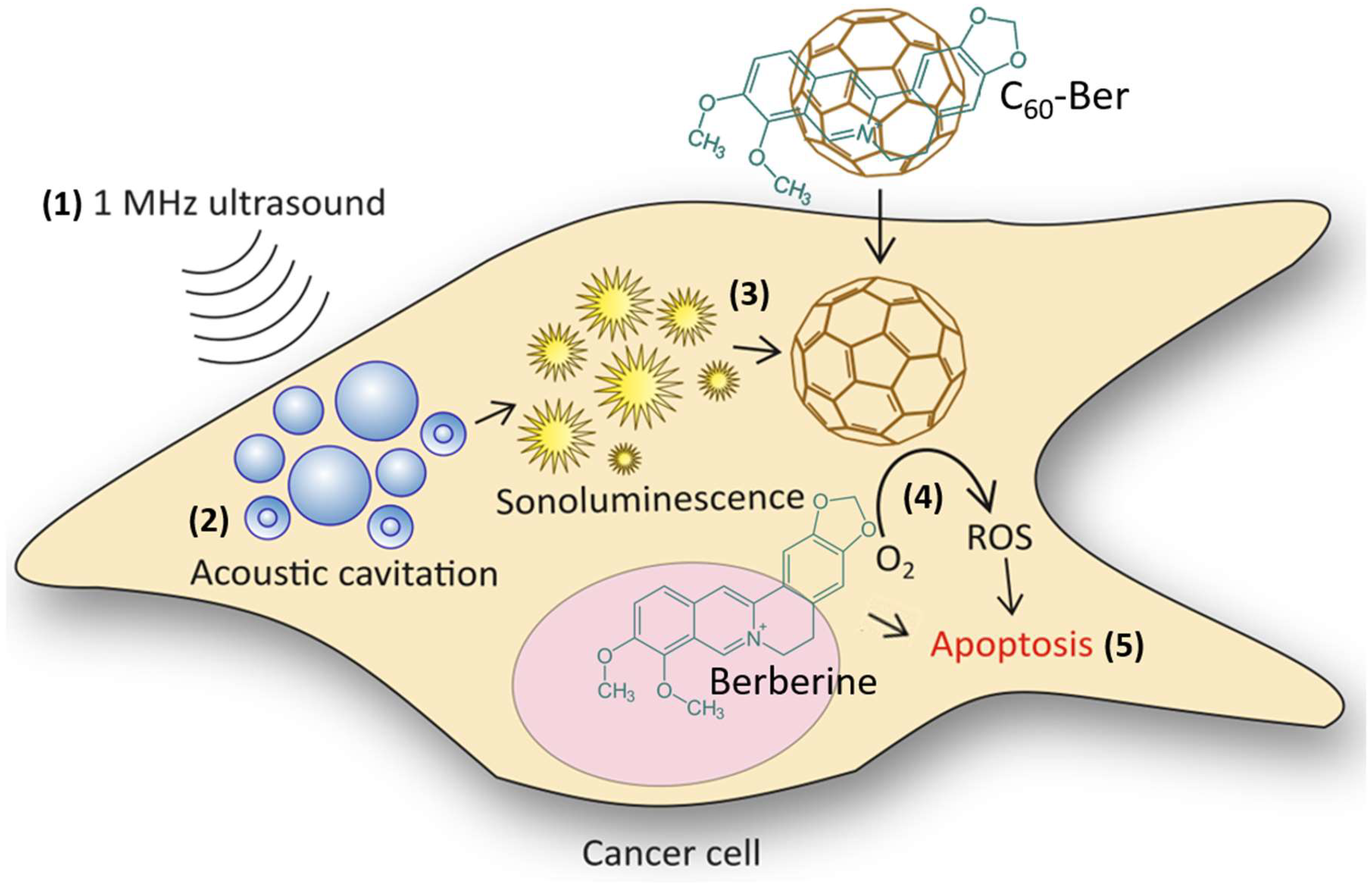Cancers 16 03184 g001 Cancers 16 03184 g001