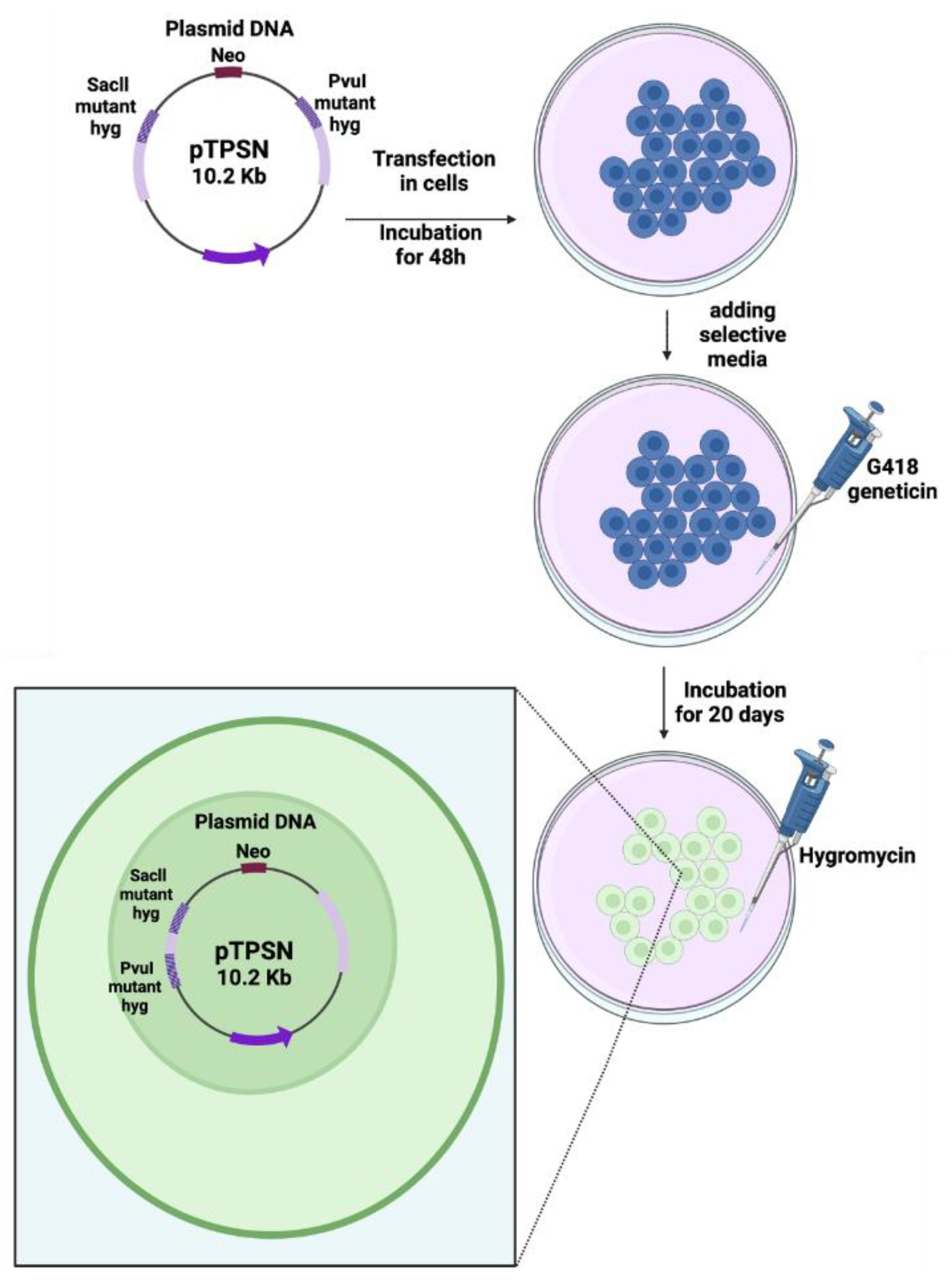 Cancers 16 03188 g001 Cancers 16 03188 g001