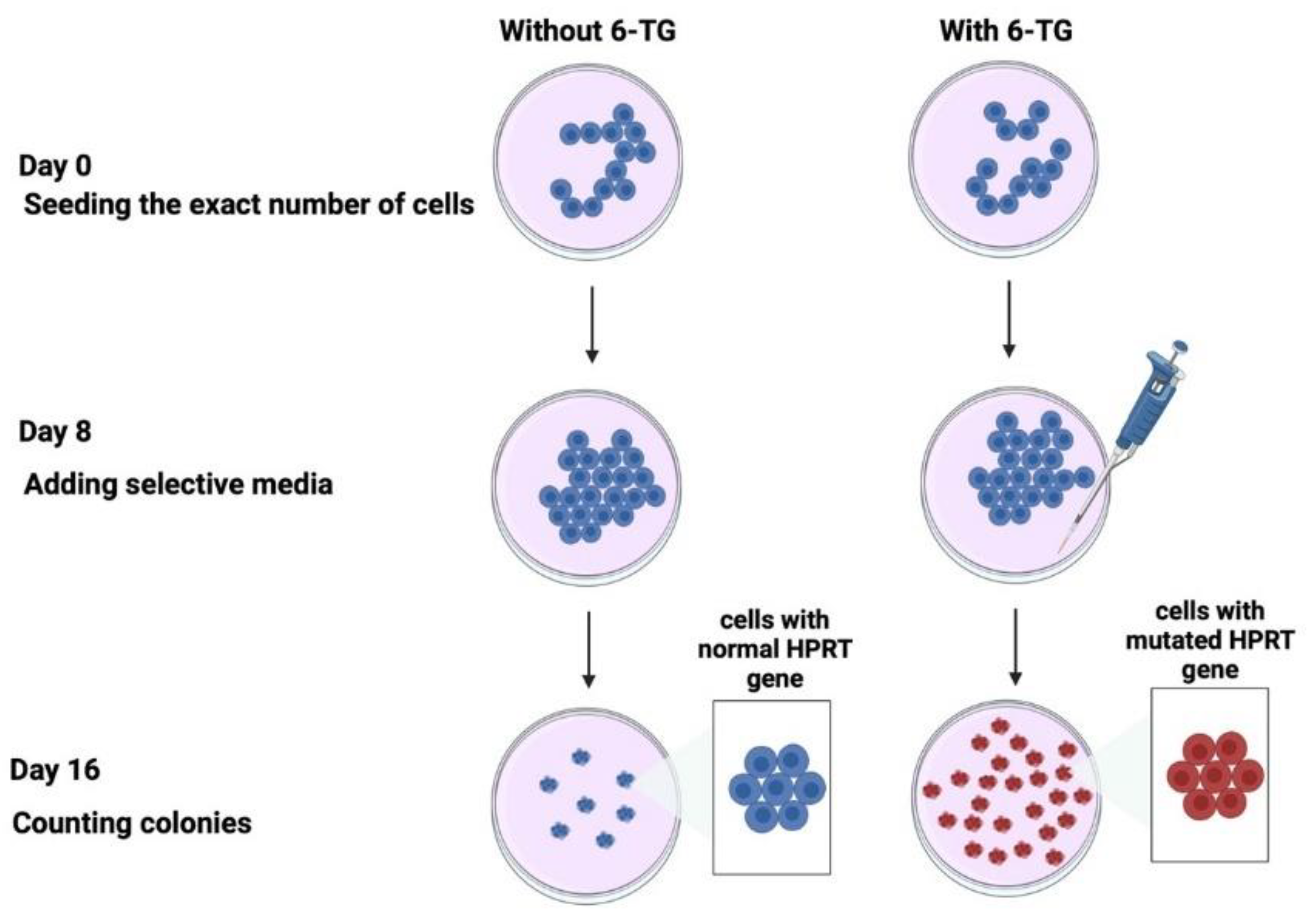 Cancers 16 03188 g002 Cancers 16 03188 g002
