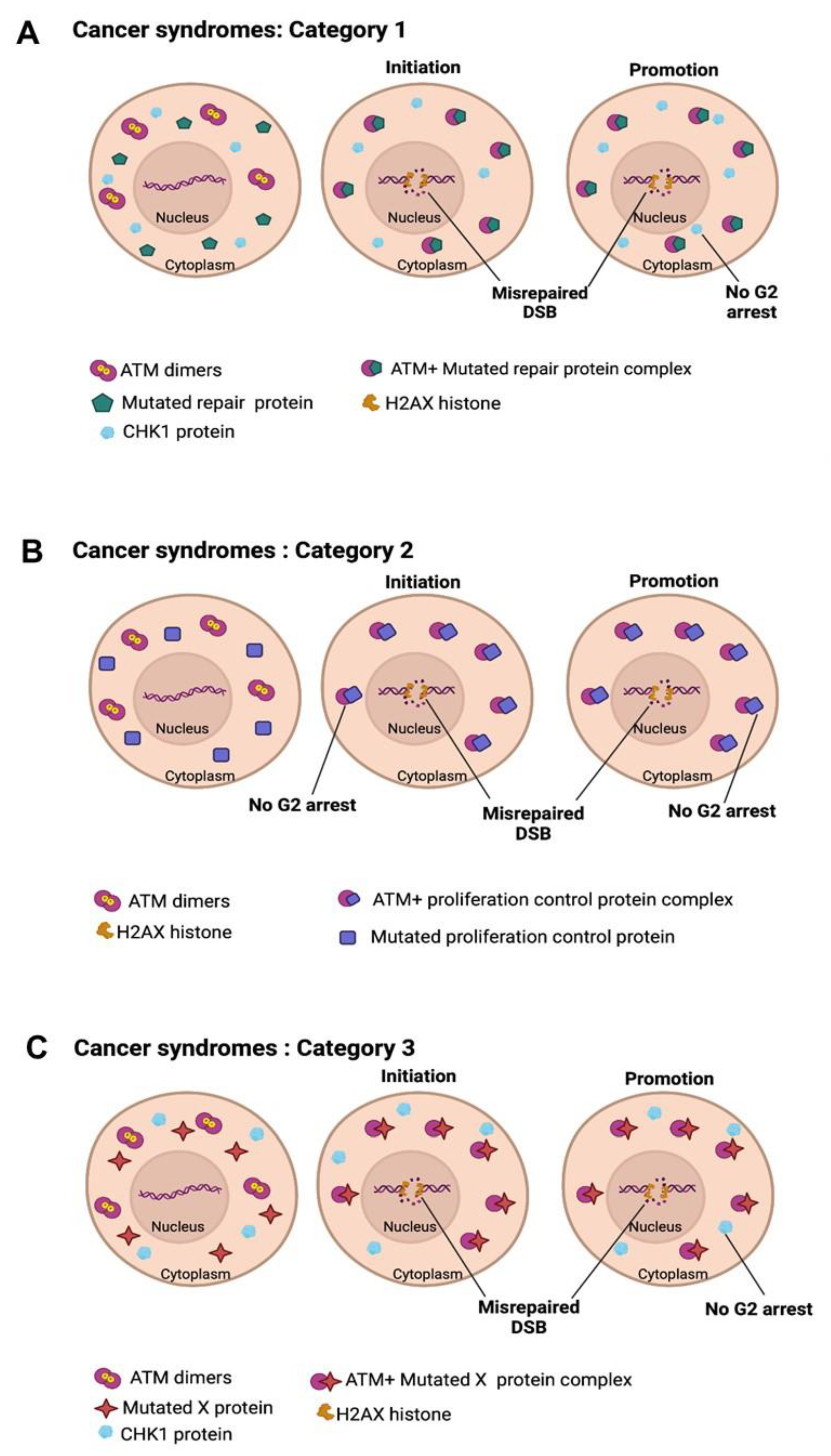 Cancers 16 03188 g008 Cancers 16 03188 g008