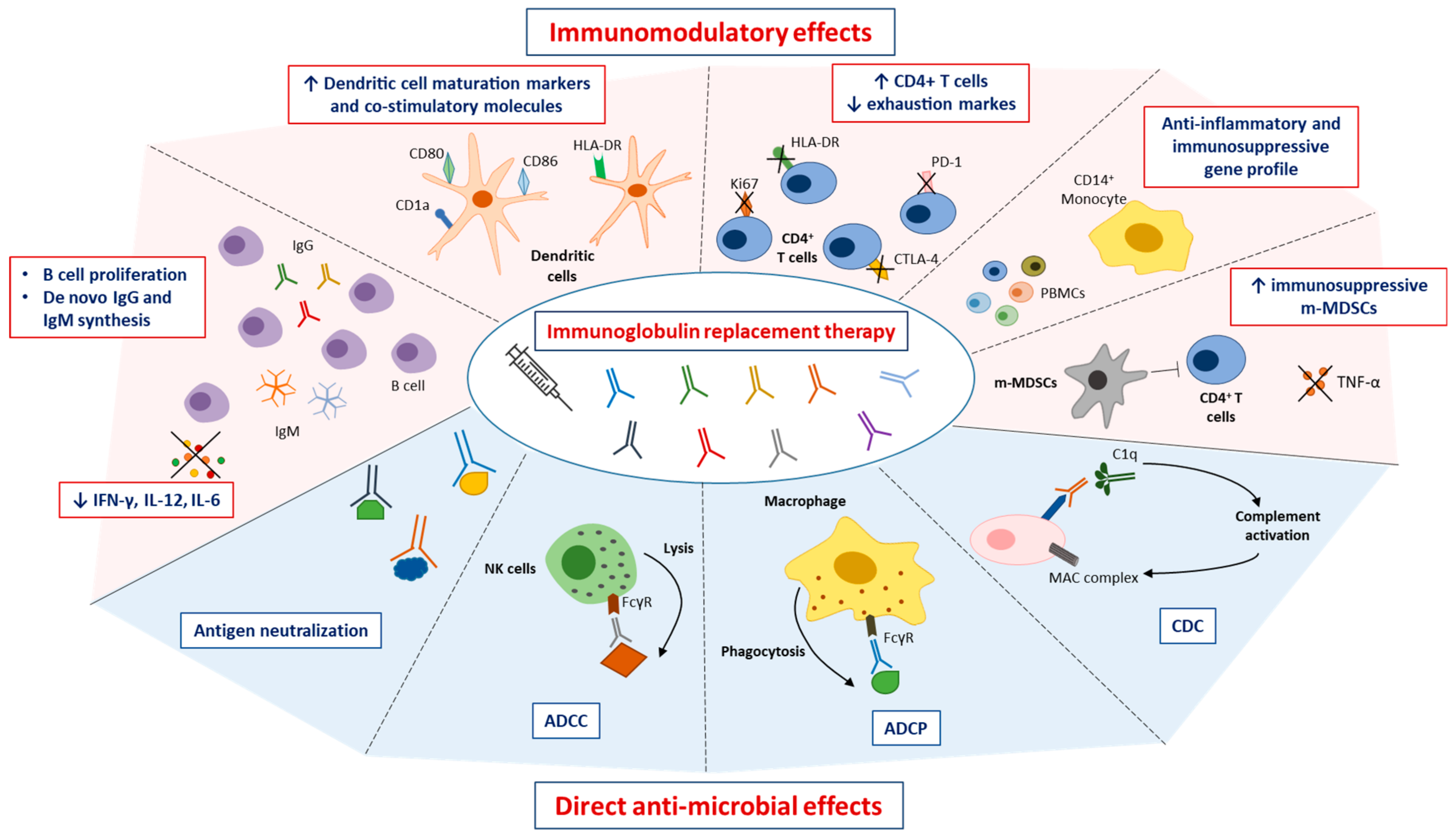 Immunoglobulin Replacement Therapy Insights into Multiple Myeloma Management