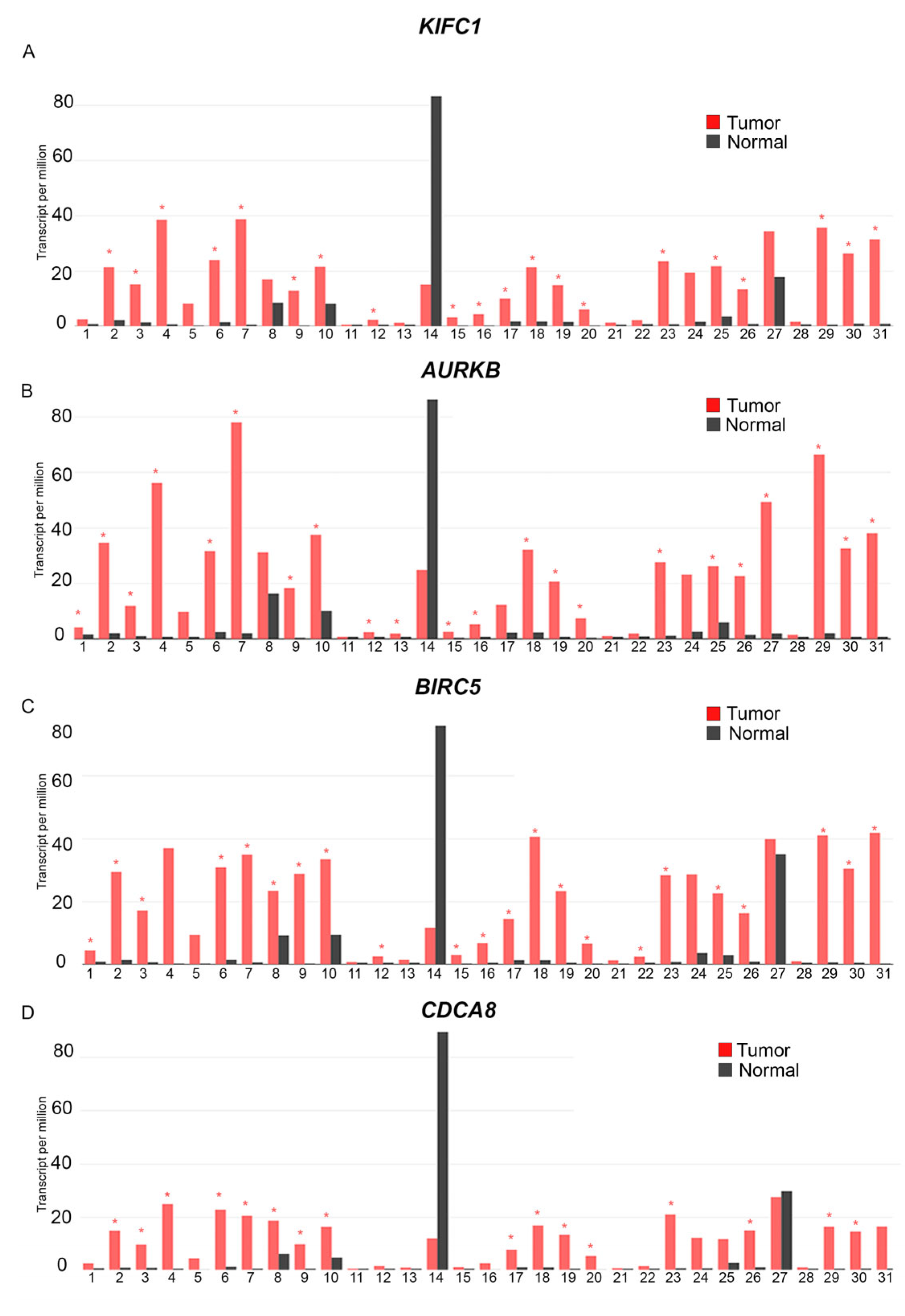 Cancers 16 03191 g001 Cancers 16 03191 g001