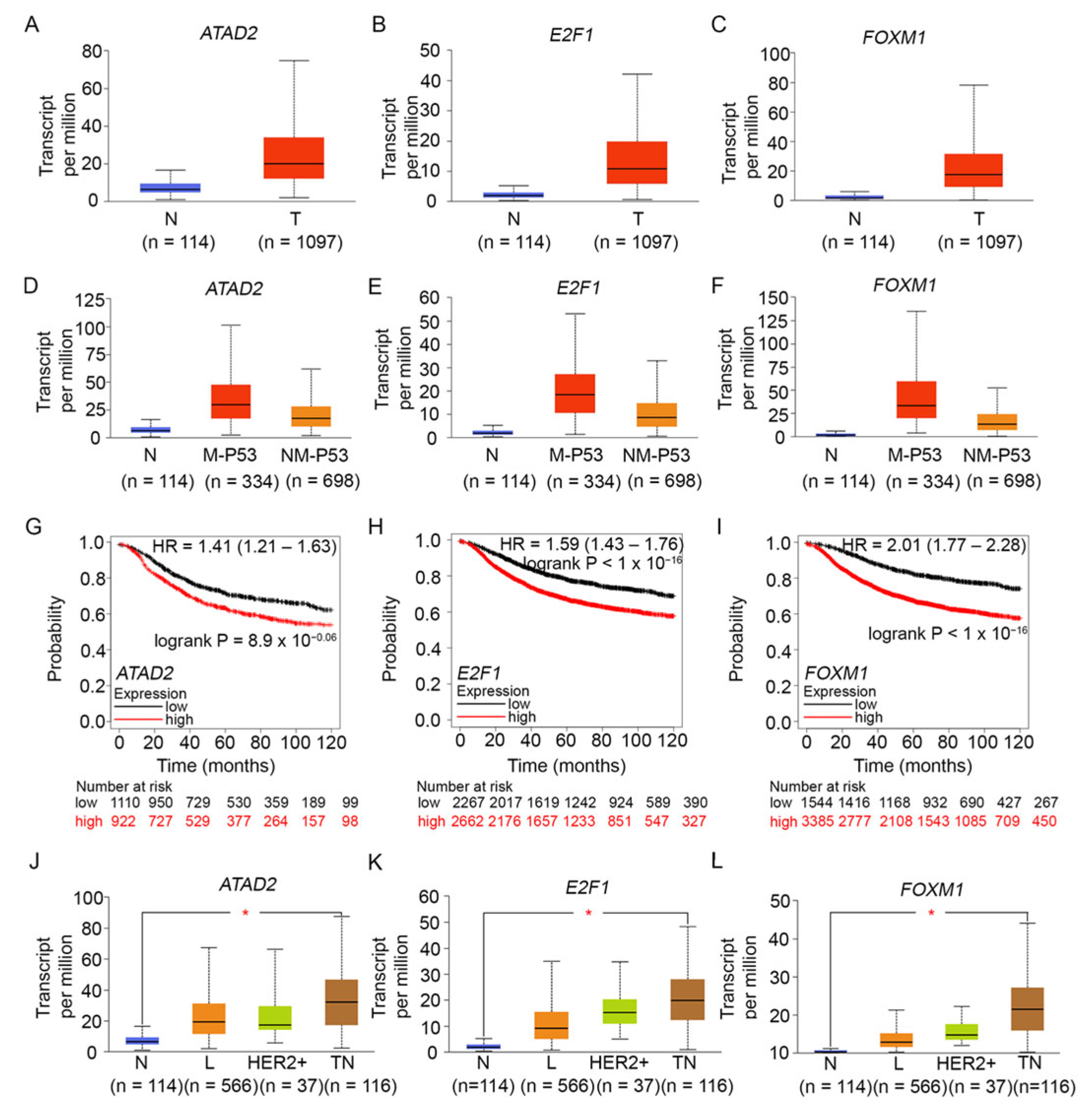 Cancers 16 03191 g003 Cancers 16 03191 g003