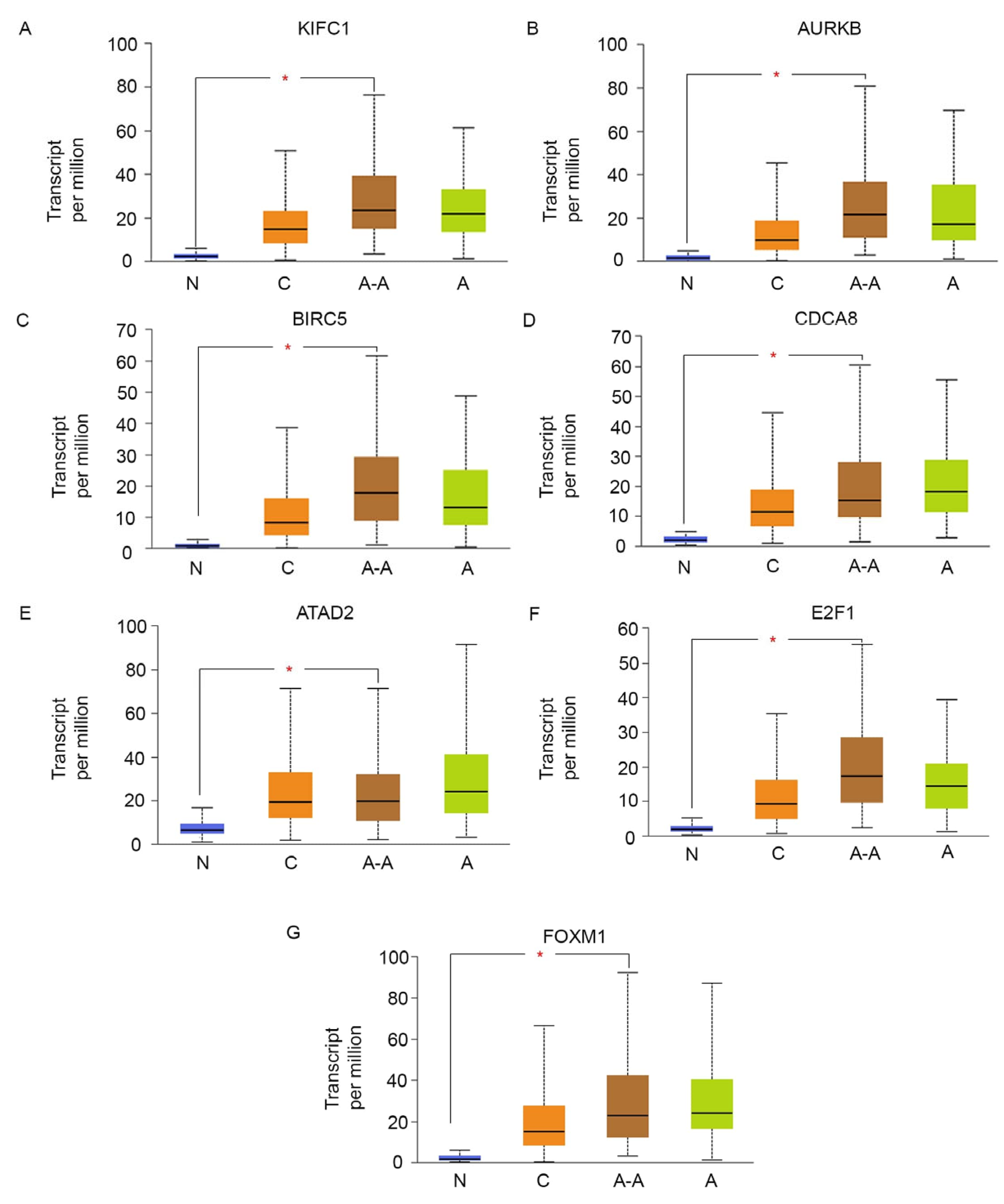 Cancers 16 03191 g005 Cancers 16 03191 g005