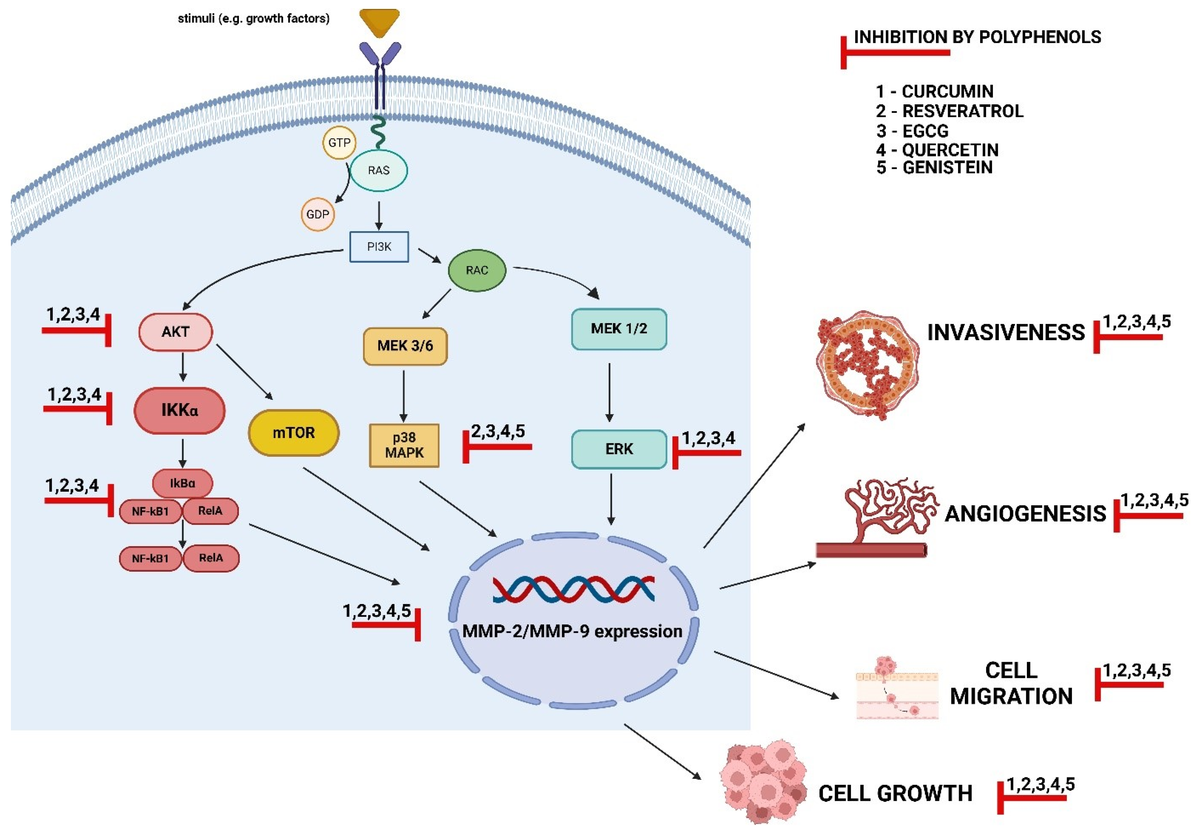 Cancers 16 03193 g002
