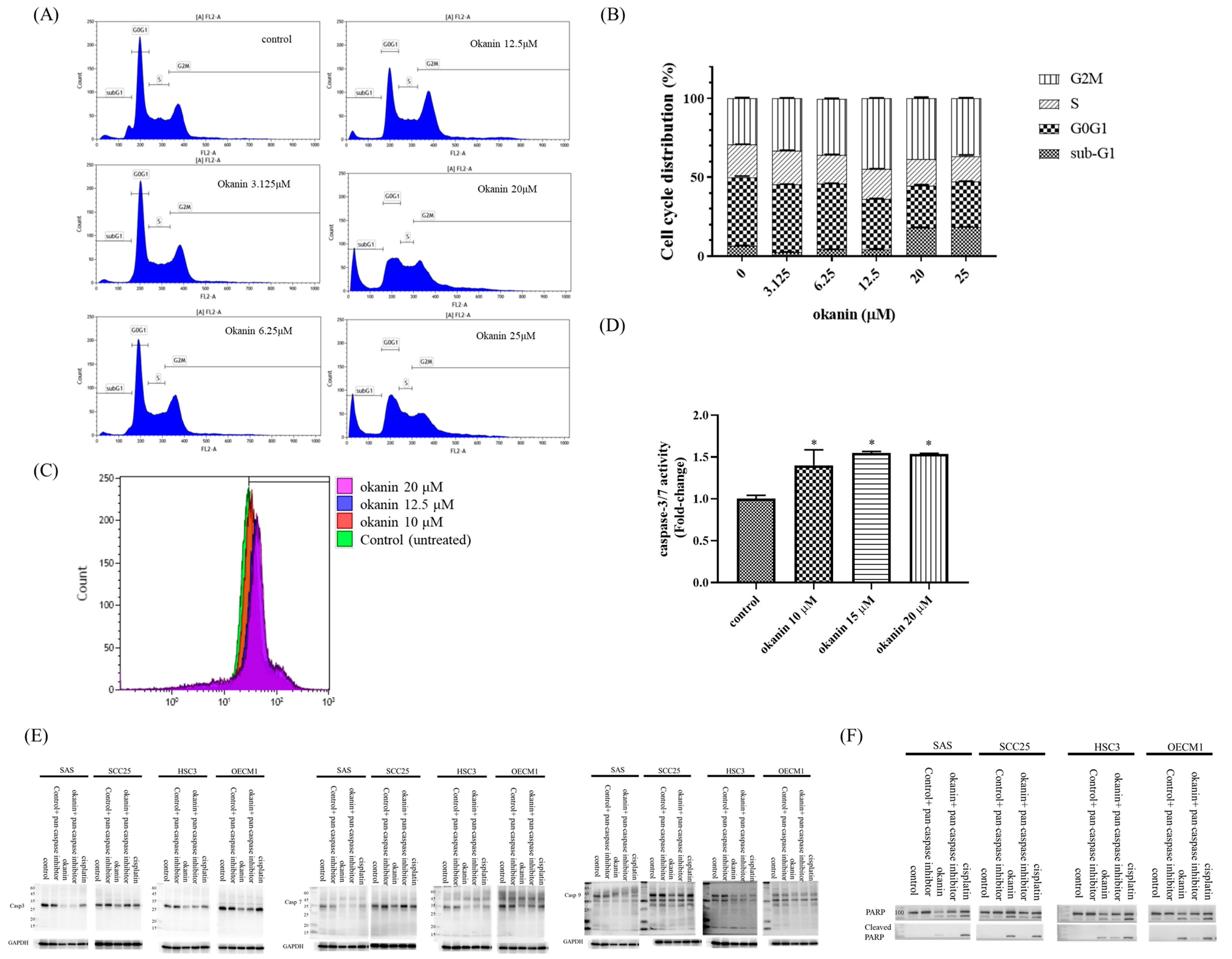 Cancers 16 03195 g002