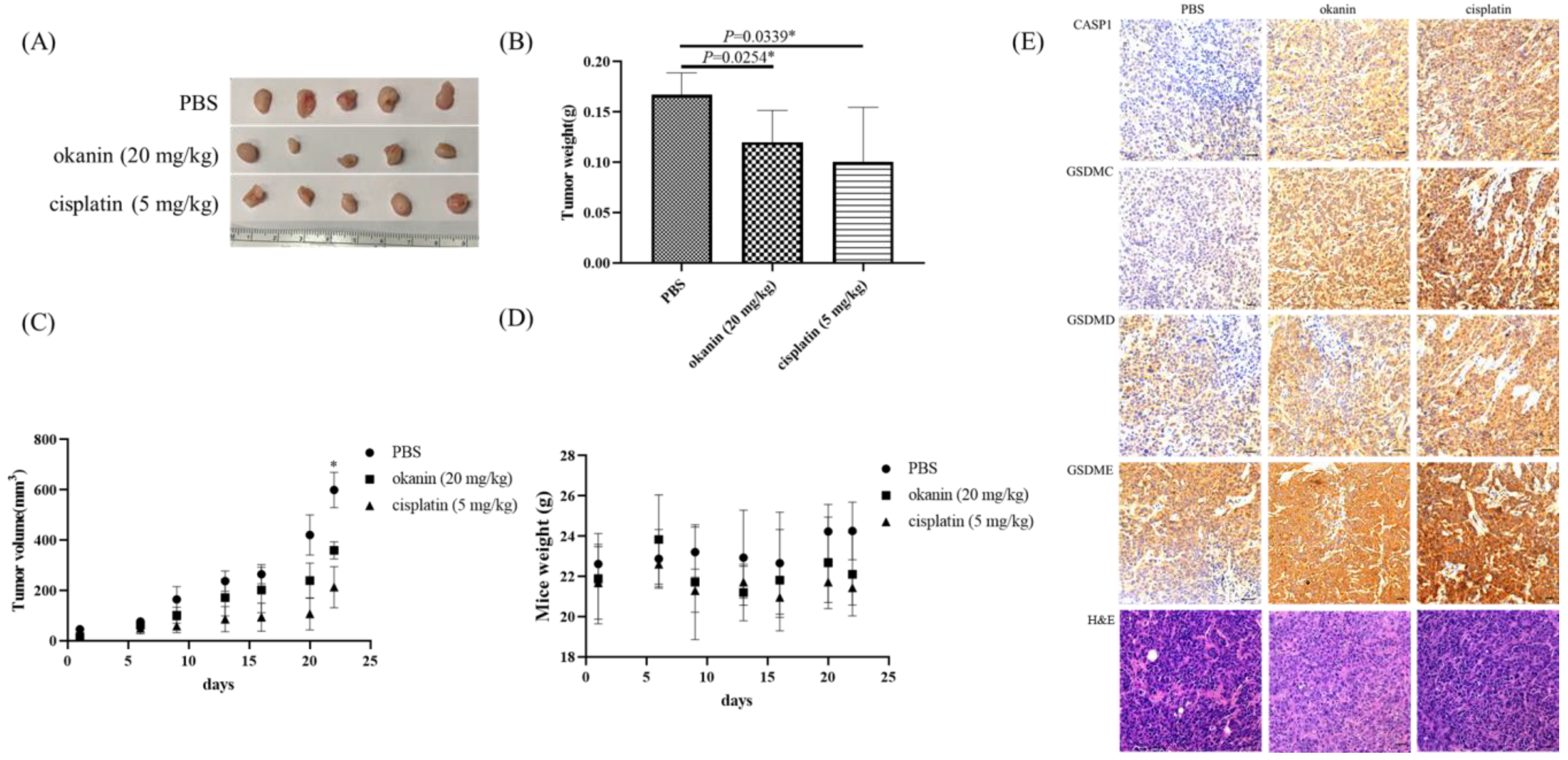 Cancers 16 03195 g005