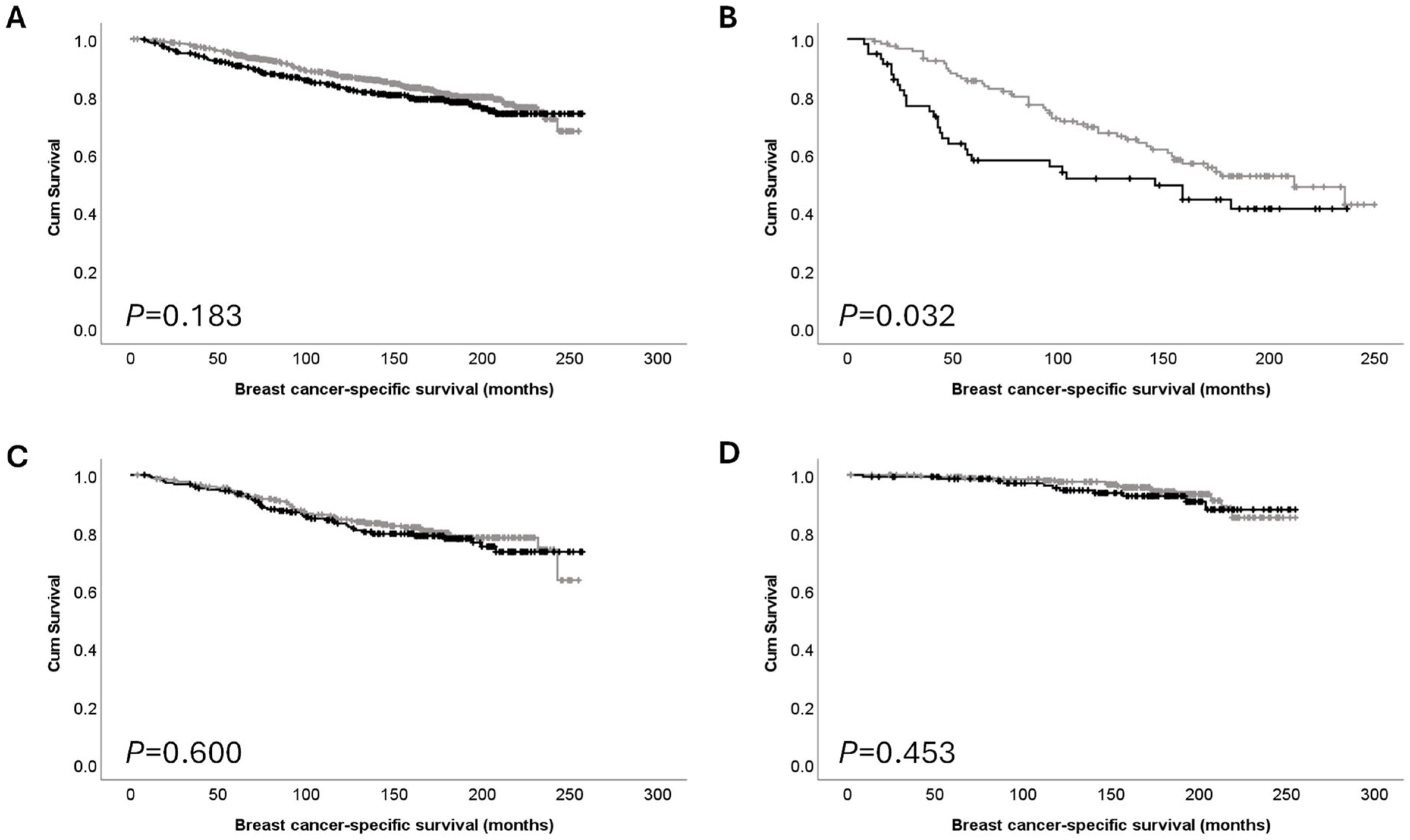 Cancers 16 03206 g002