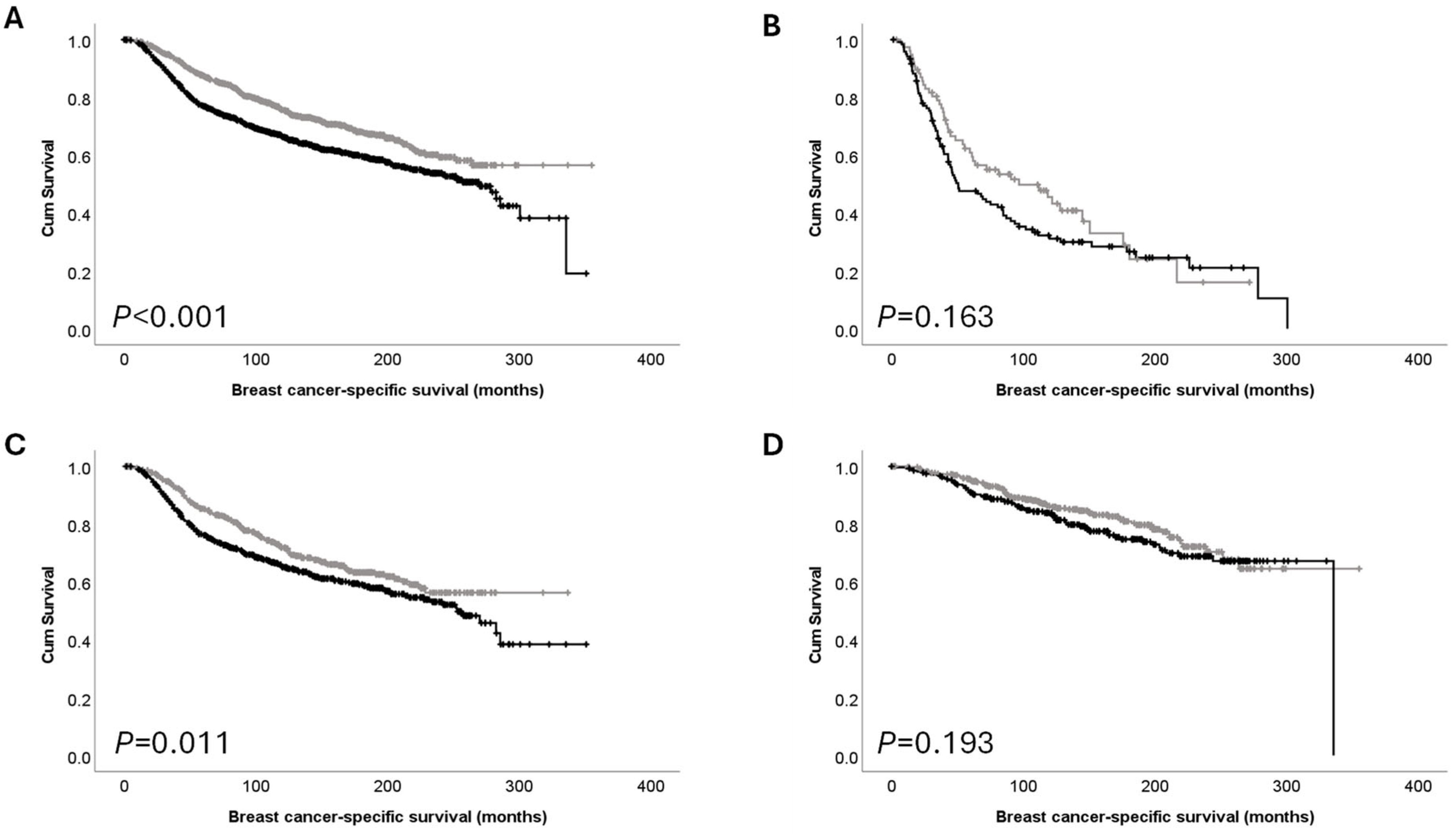 Cancers 16 03206 g003