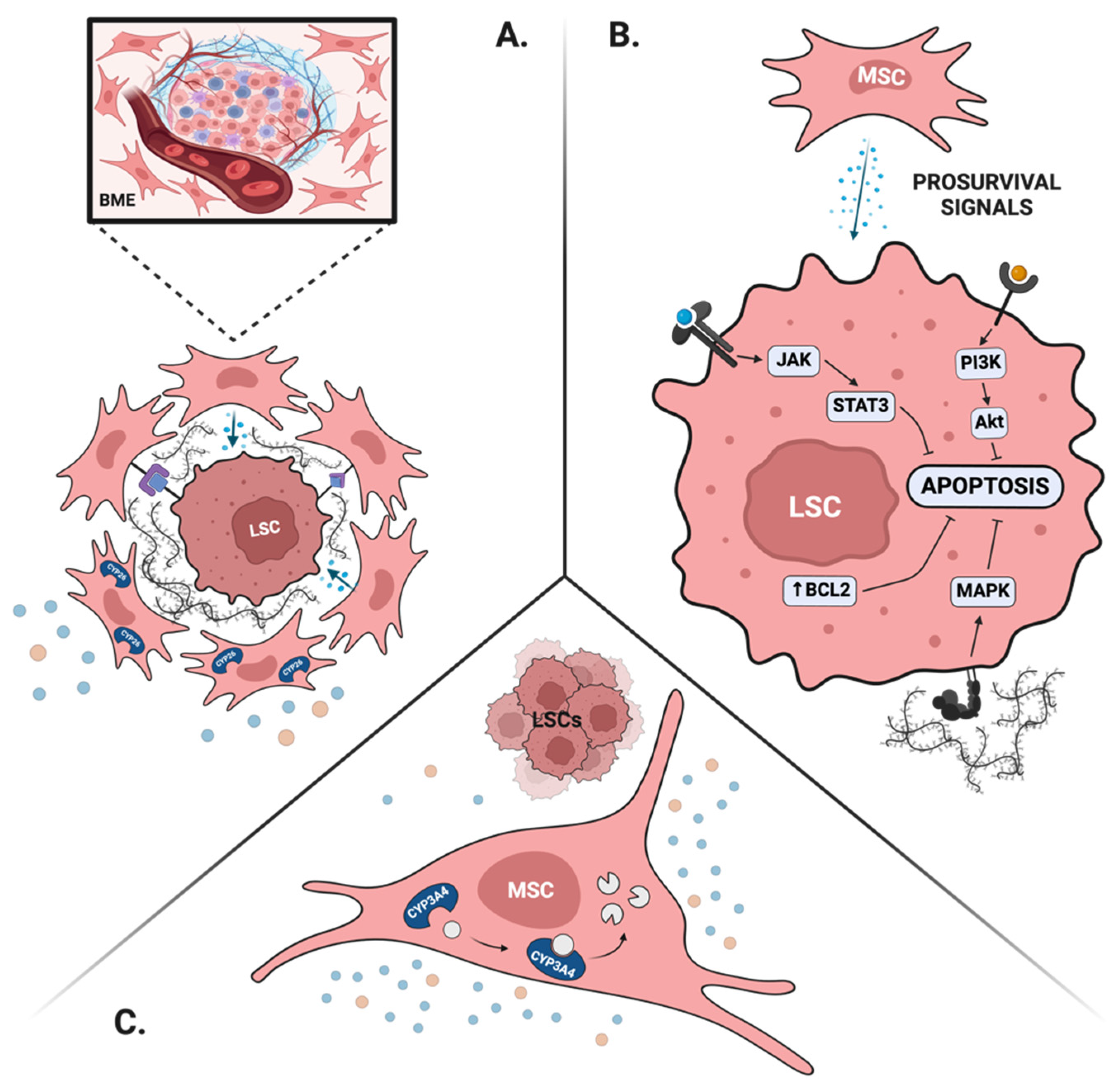 Cancers 16 03208 g002 Cancers 16 03208 g002