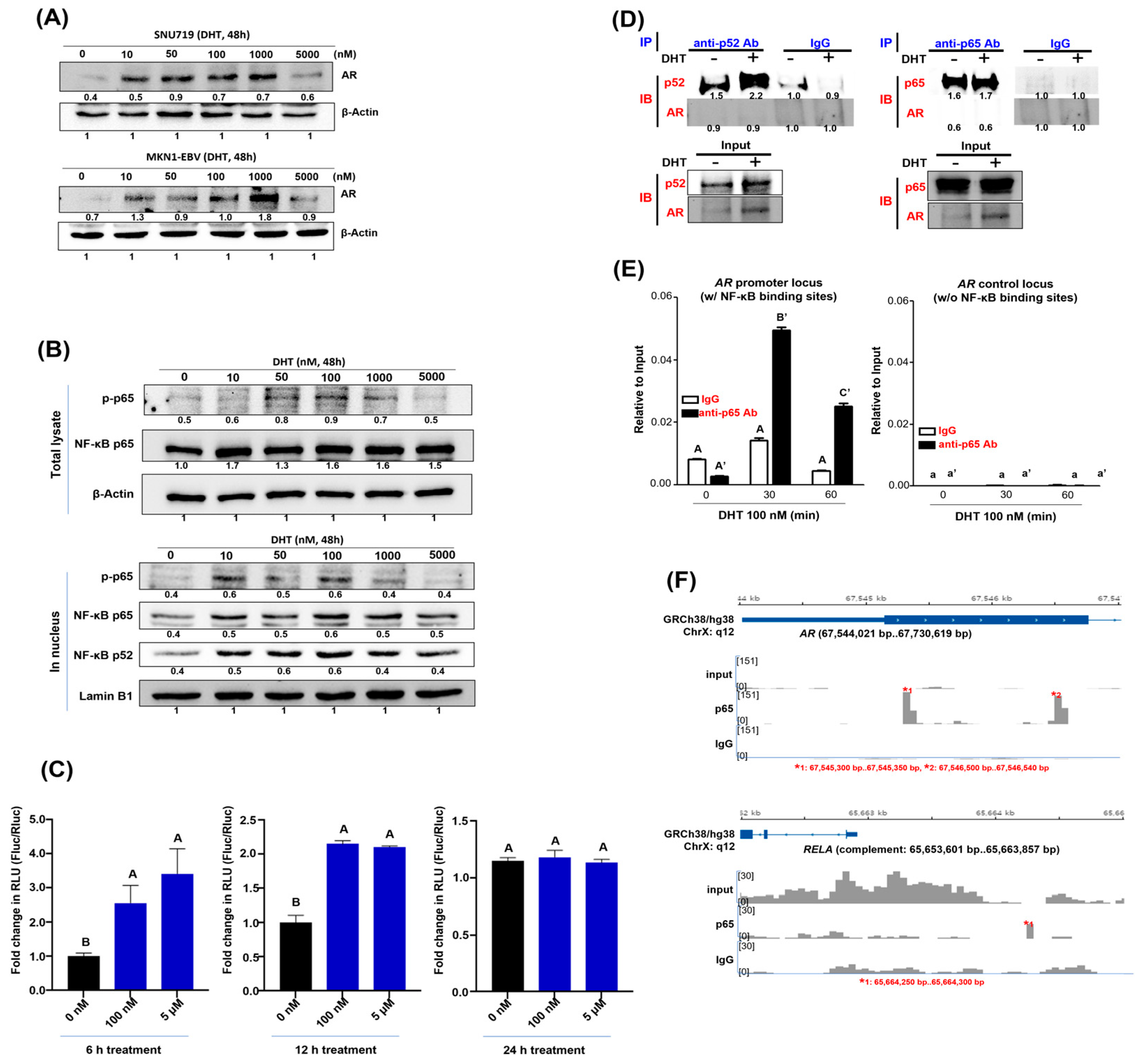 Cancers 16 03219 g001