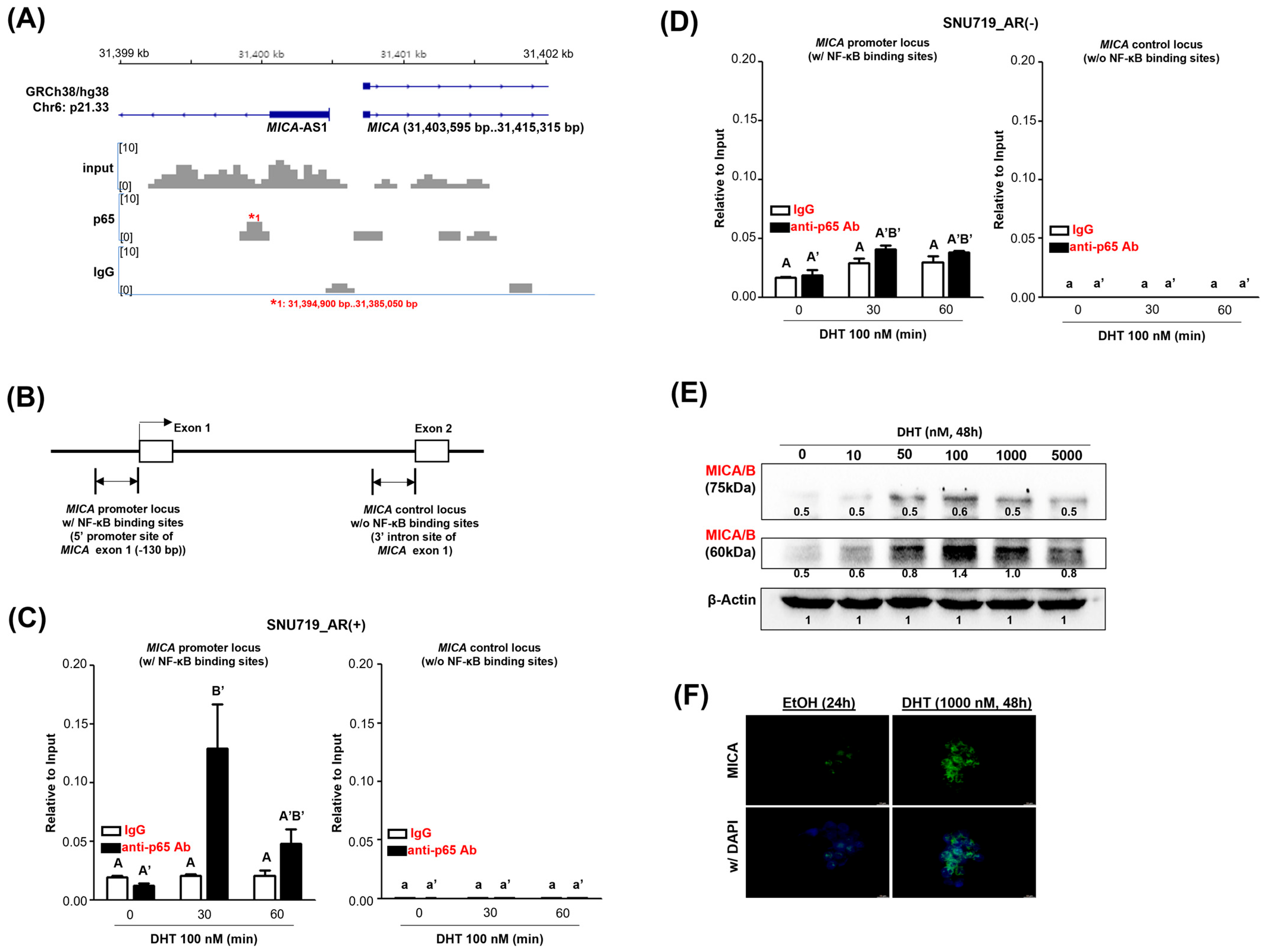 Cancers 16 03219 g002
