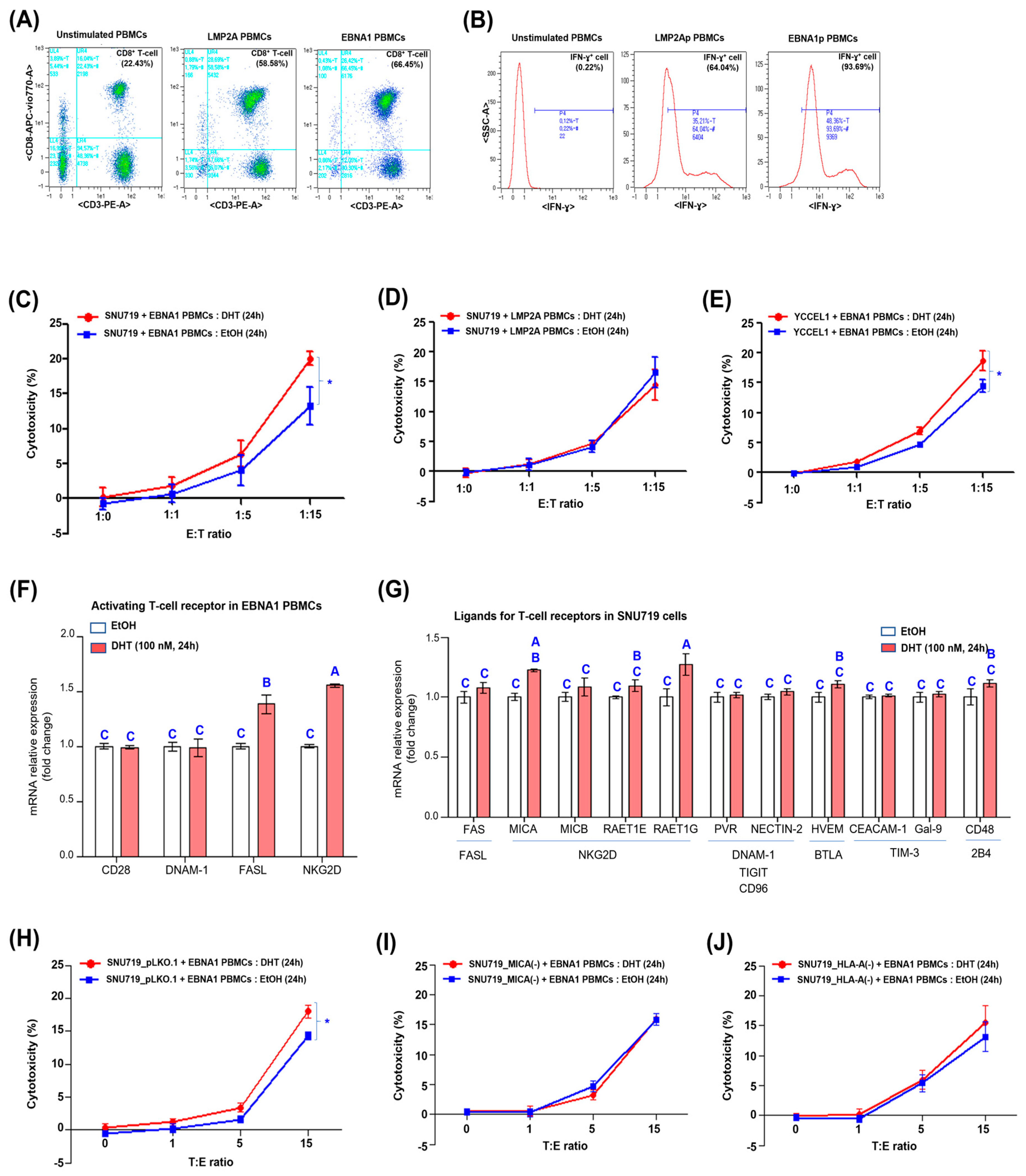 Cancers 16 03219 g004