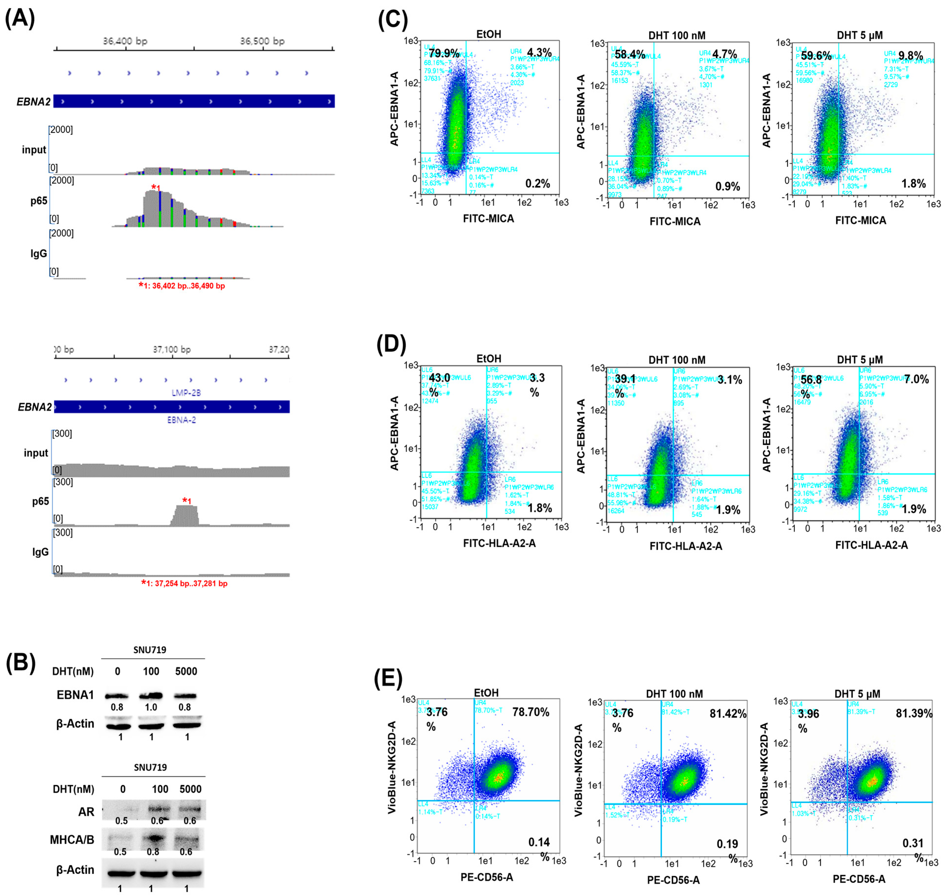 Cancers 16 03219 g005