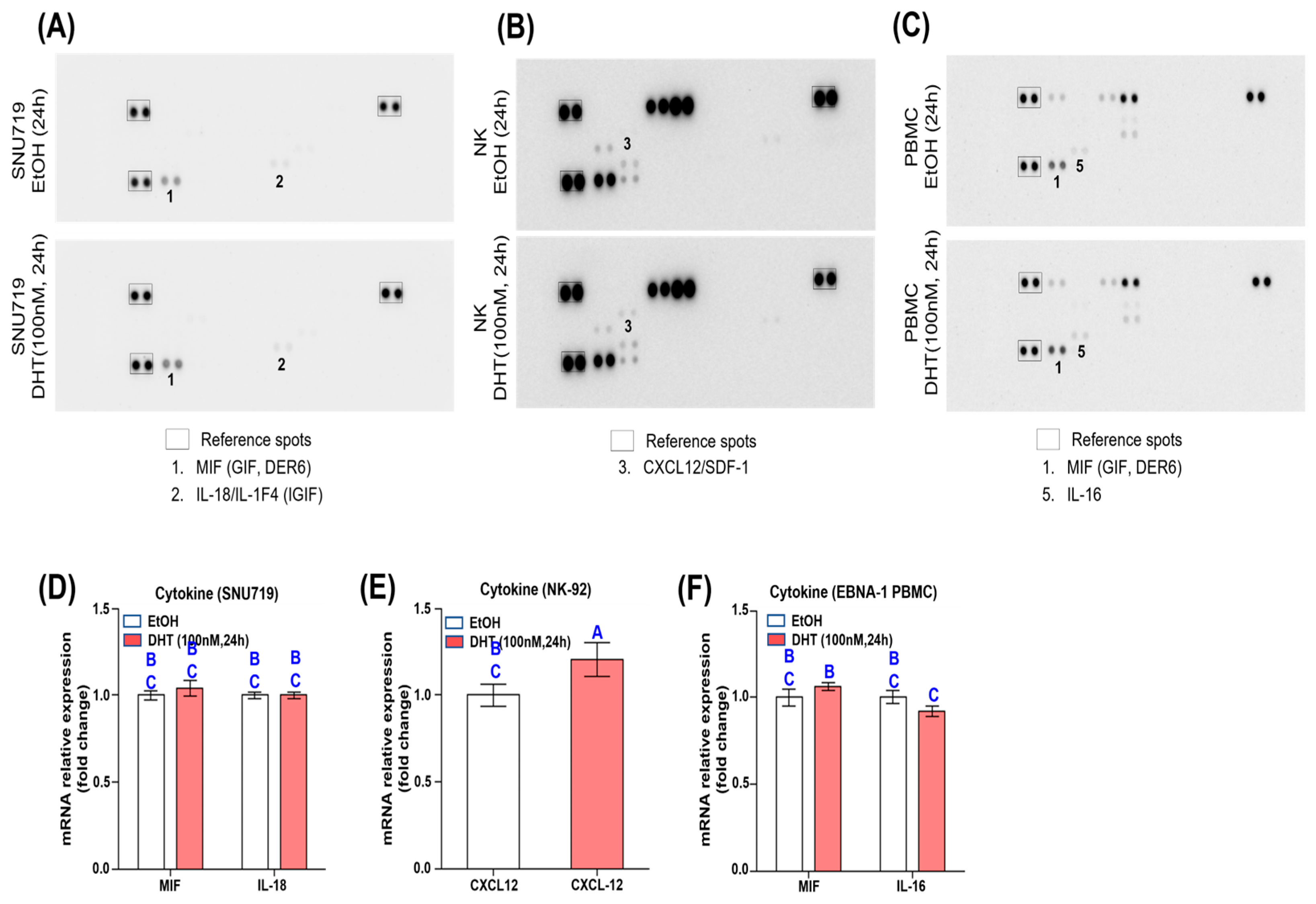 Cancers 16 03219 g006