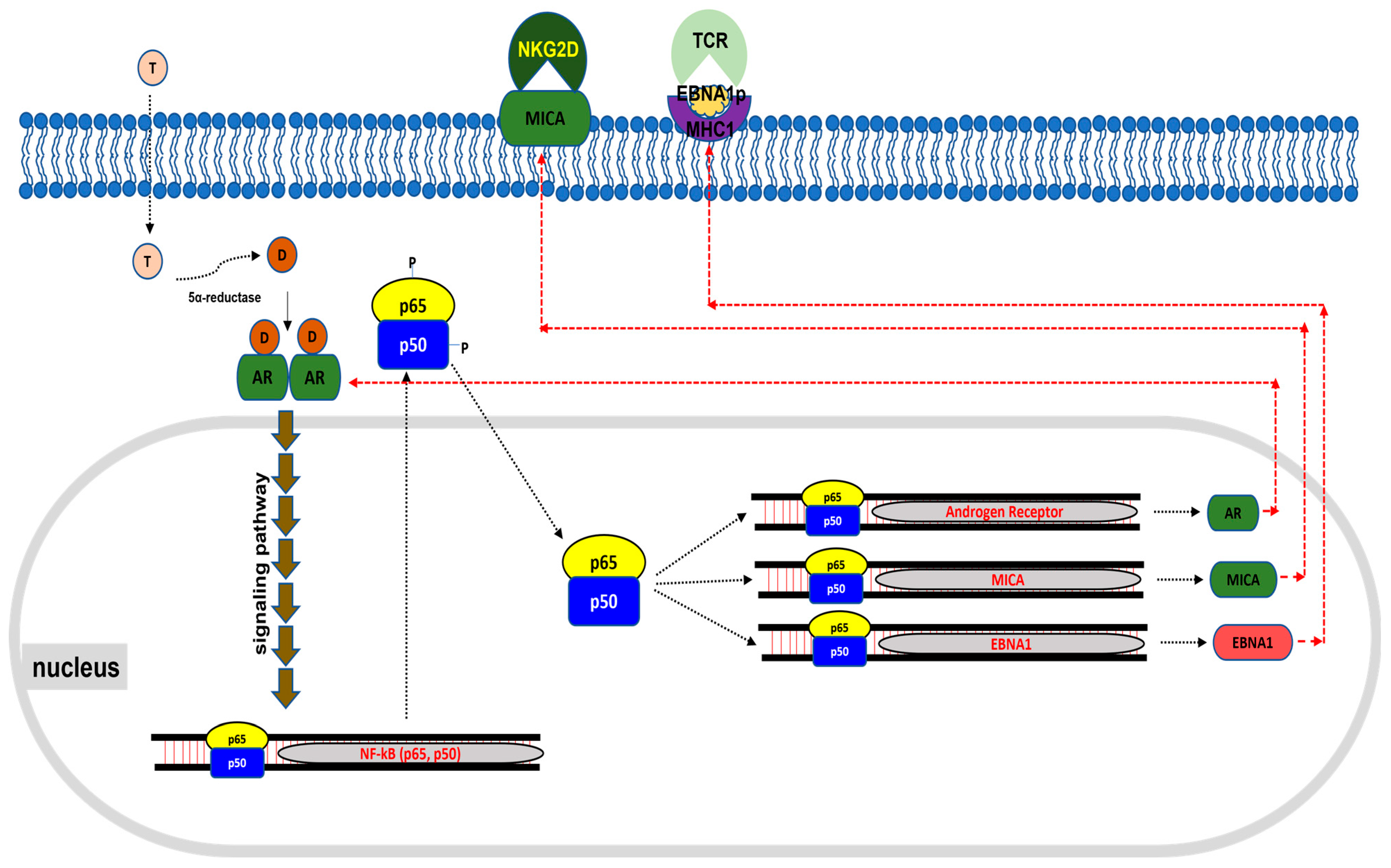 Cancers 16 03219 g007