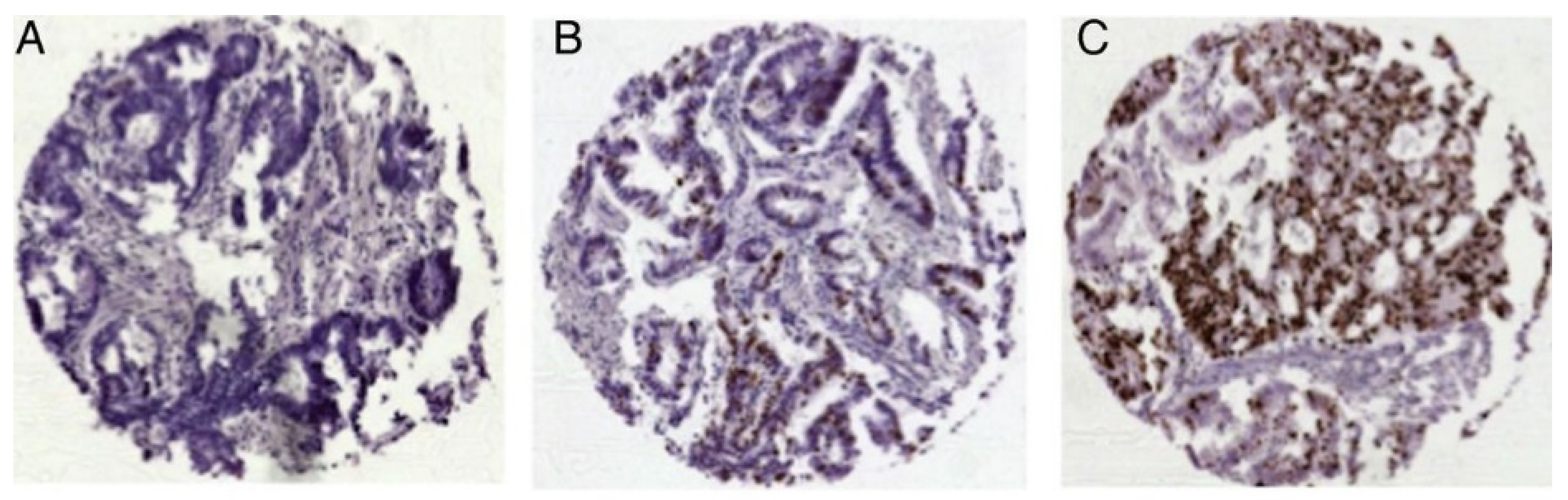 Cancers 16 03223 g001