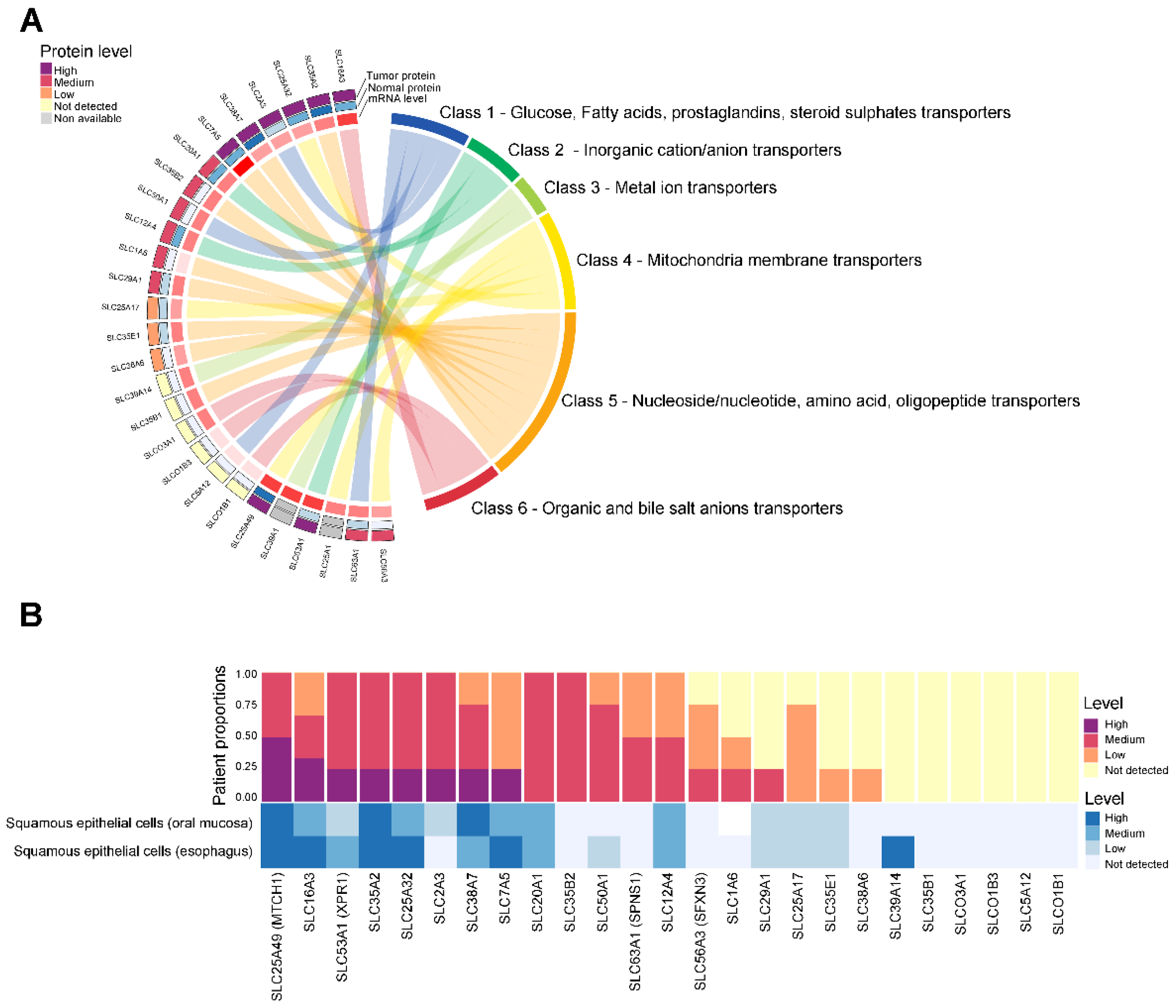 Cancers 16 03226 g003