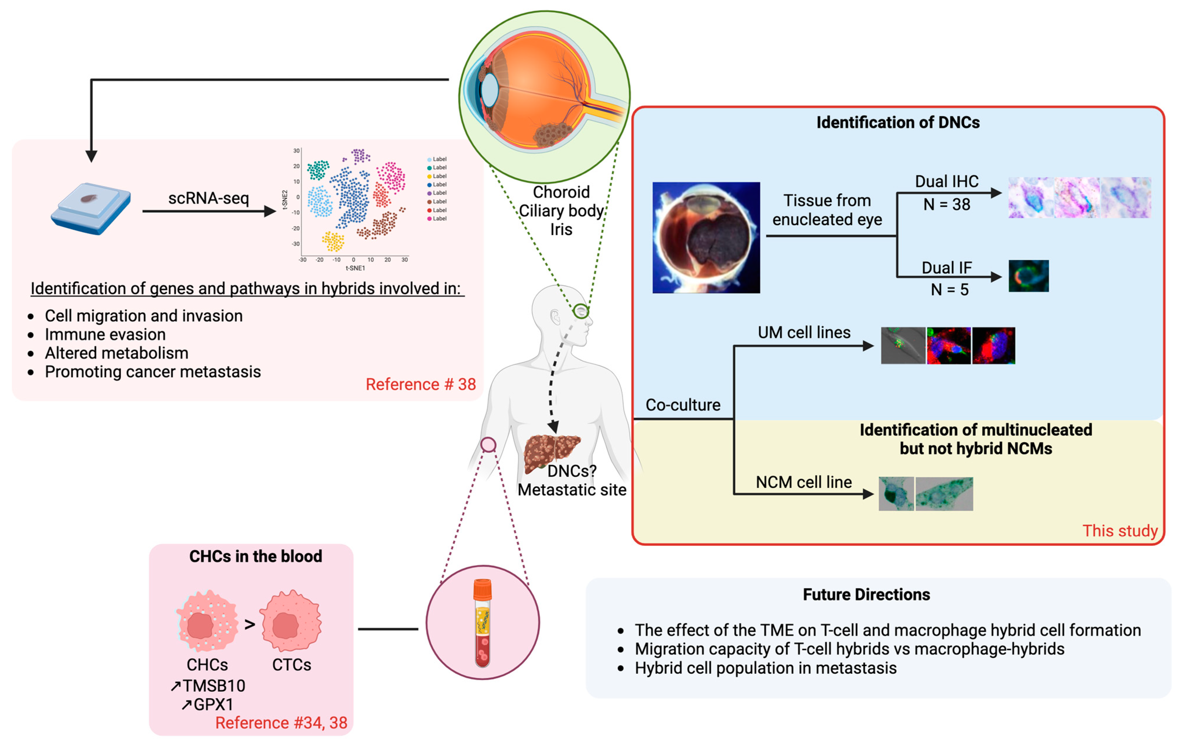 Cancers 16 03231 g003