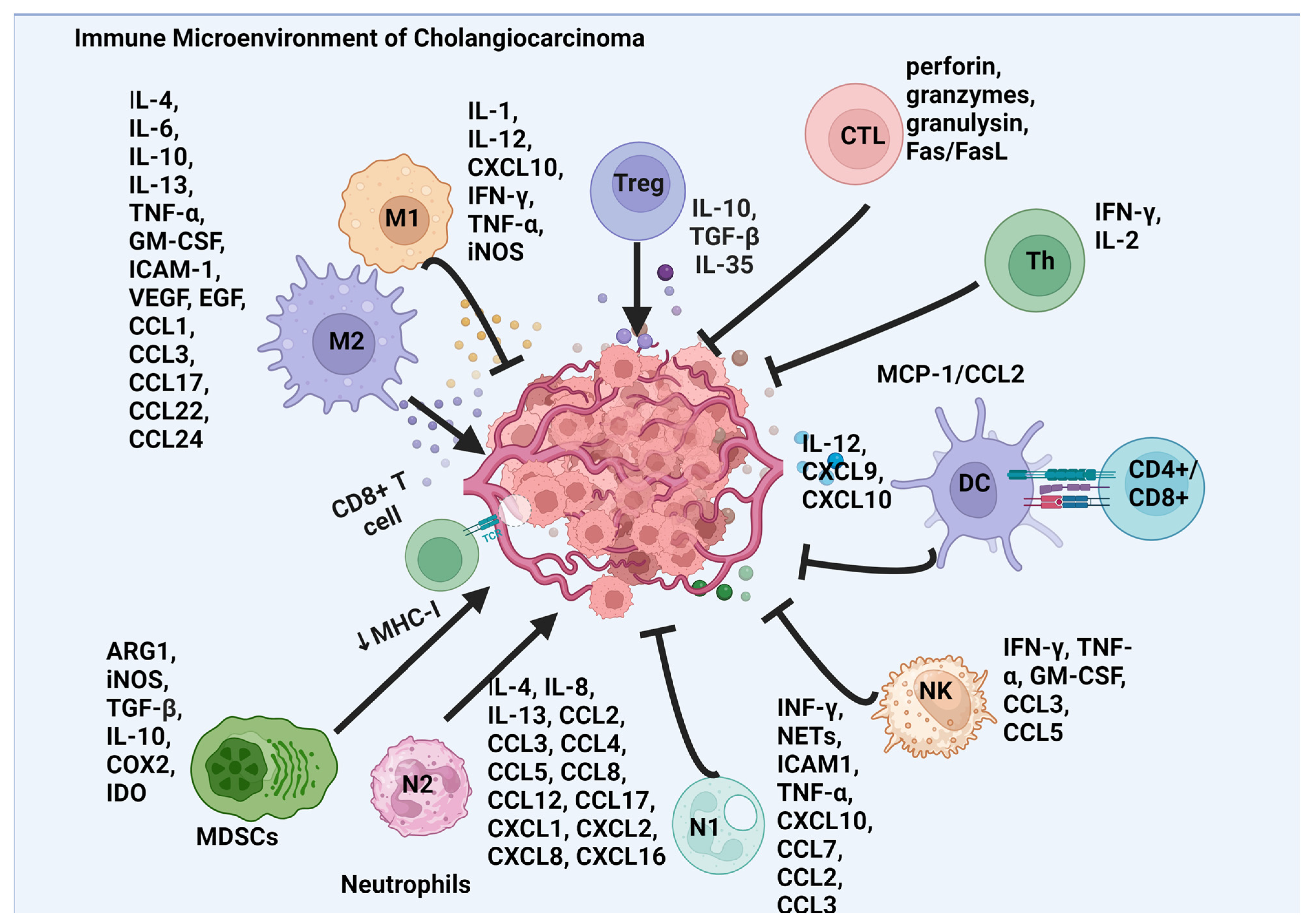 Cancers 16 03232 g001