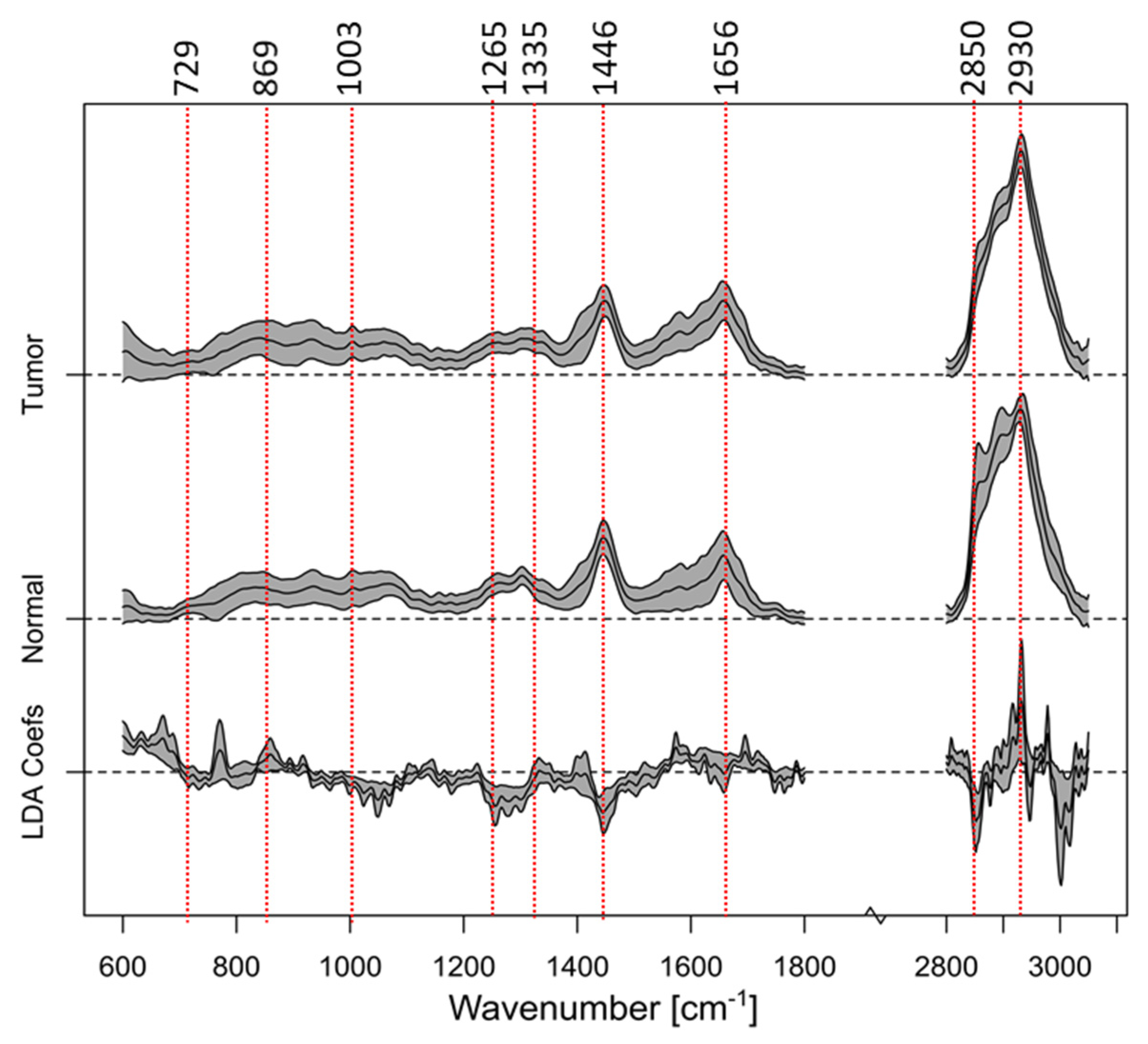 Cancers 16 03238 g011 Cancers 16 03238 g011