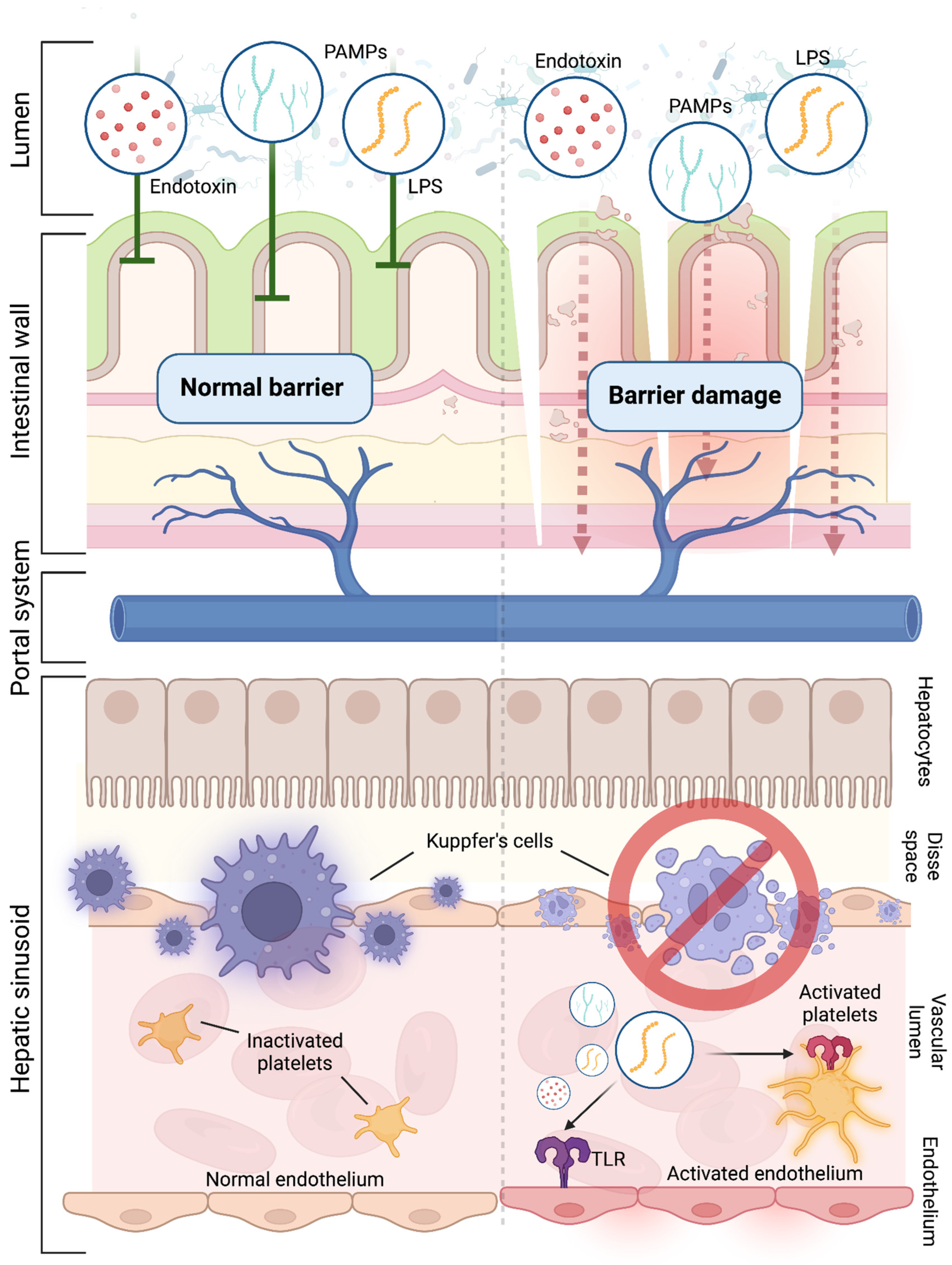 Cancers 16 03247 g003